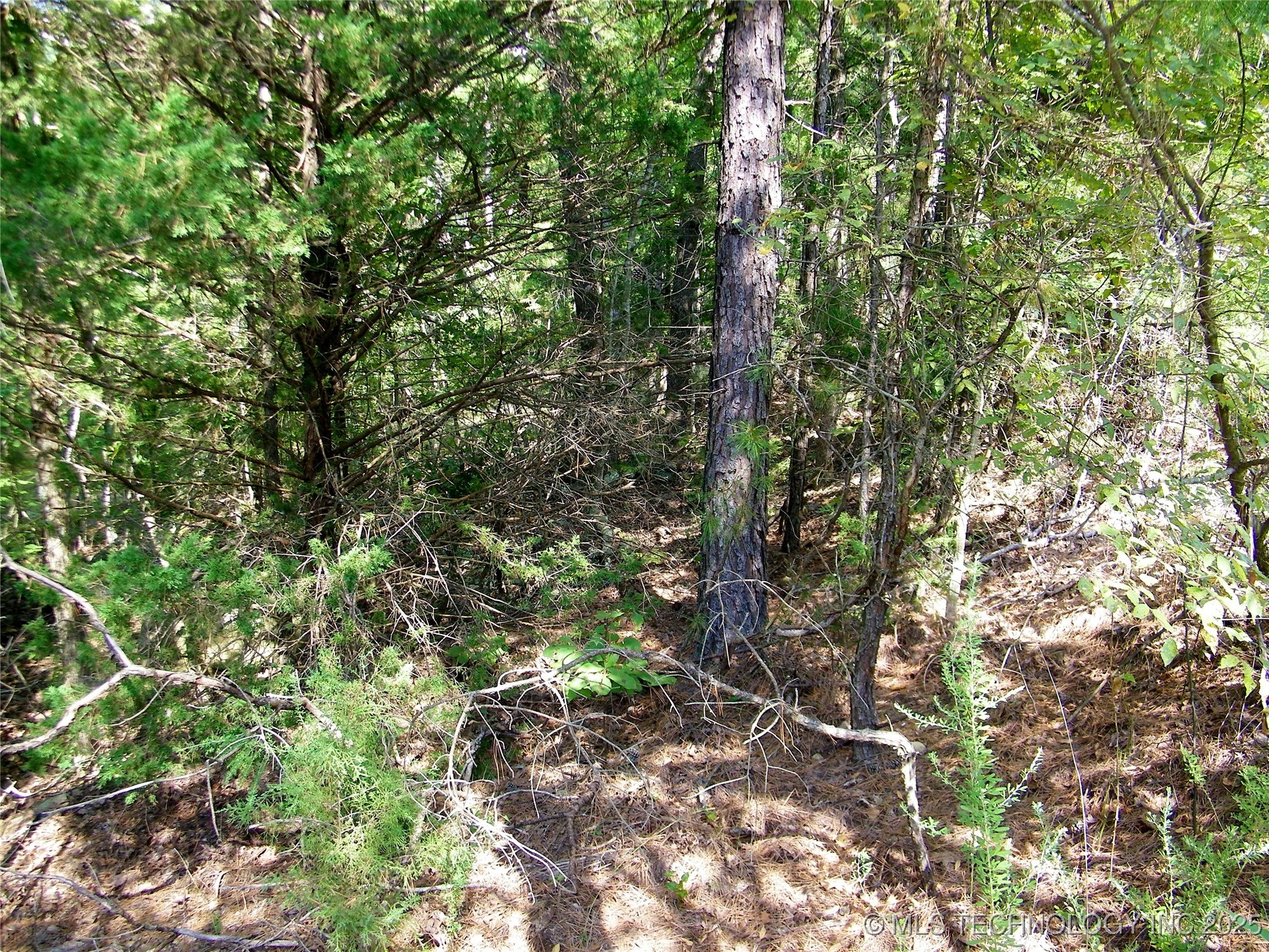 901 Sycamore Loop Property Photo 87