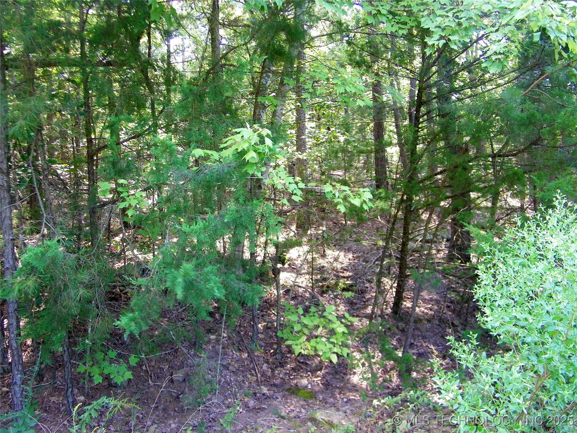 901 Sycamore Loop Property Photo 89