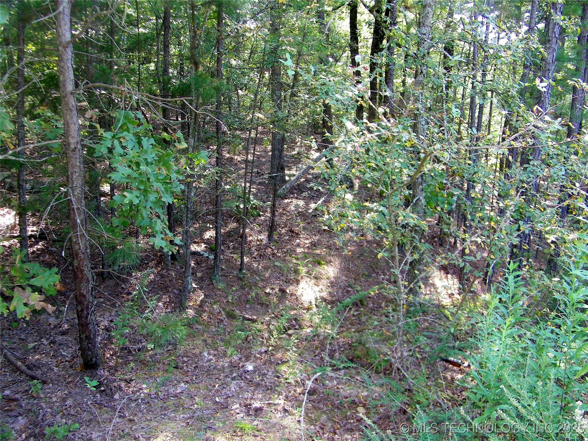 901 Sycamore Loop Property Photo 90