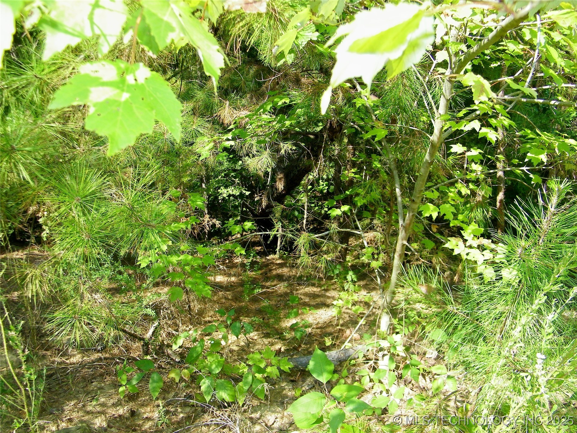 901 Sycamore Loop Property Photo 92