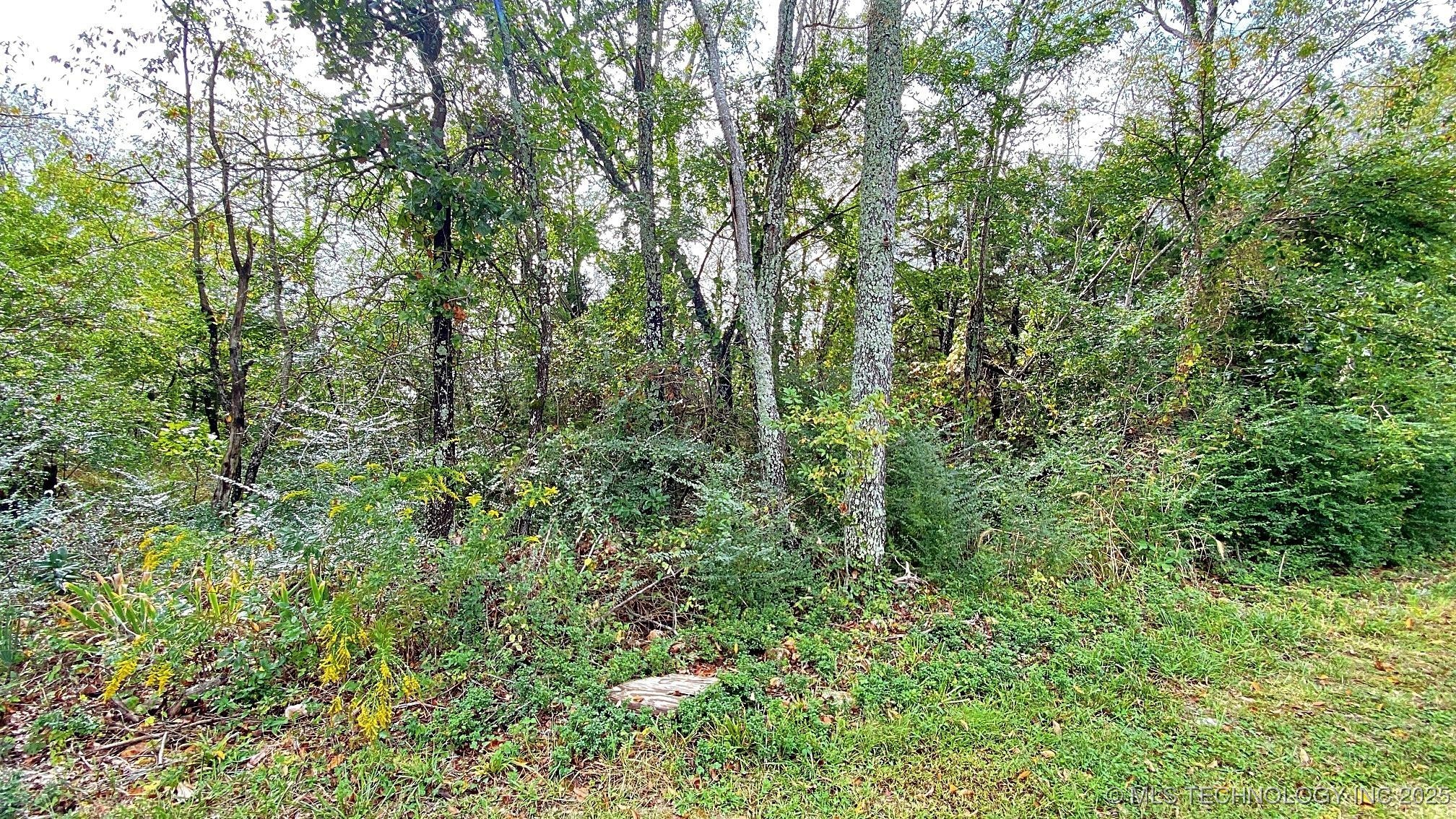 481 Terry Street Property Photo 1