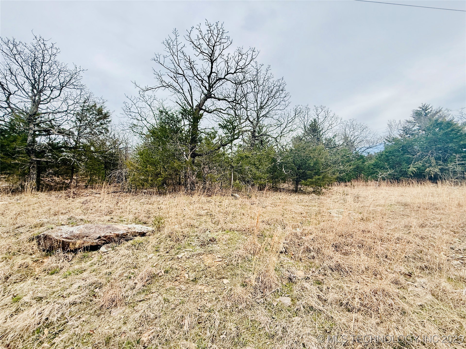 0 Dozer Mountain Property Photo 1