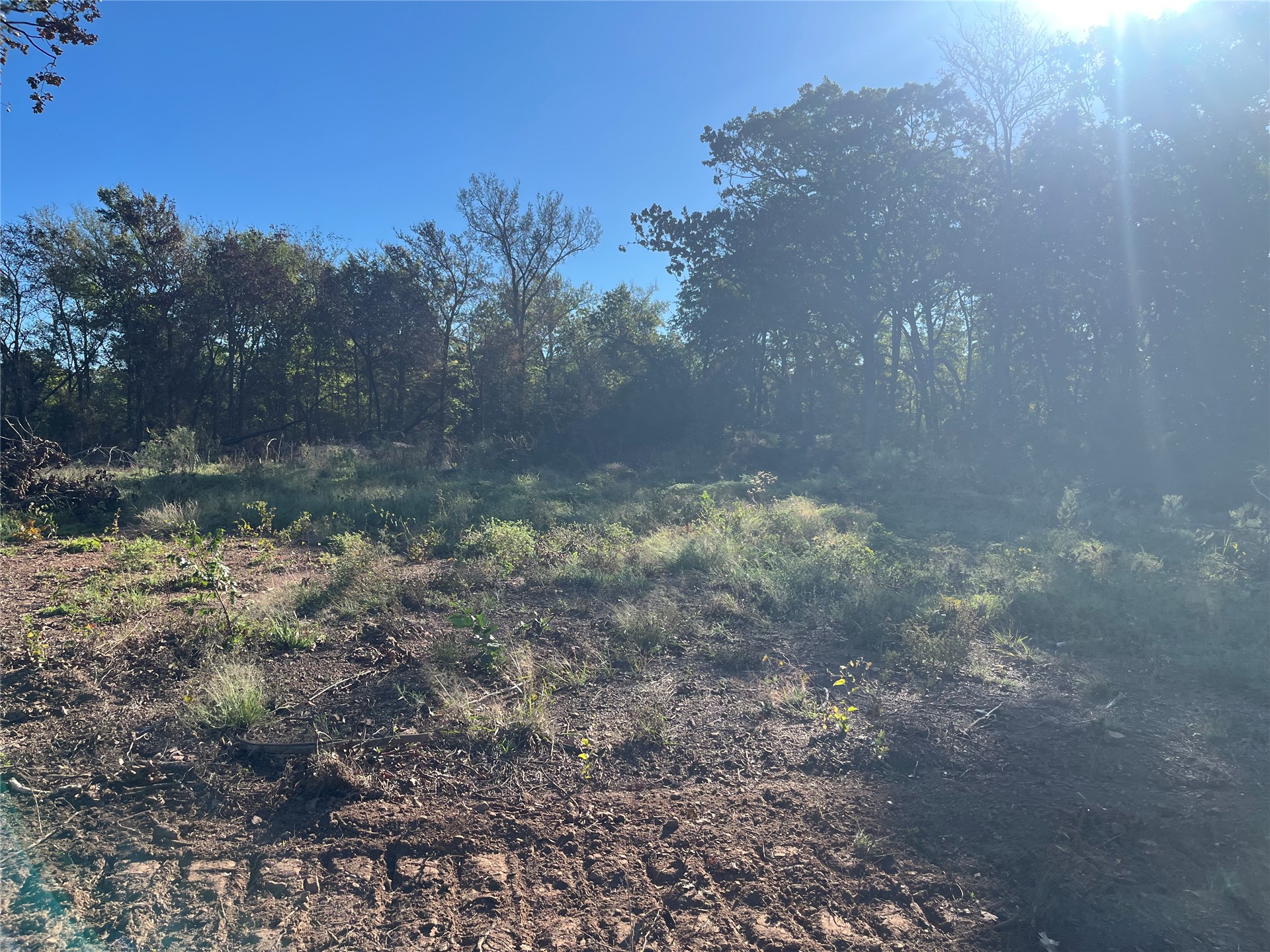 02 250 Road Property Photo 3