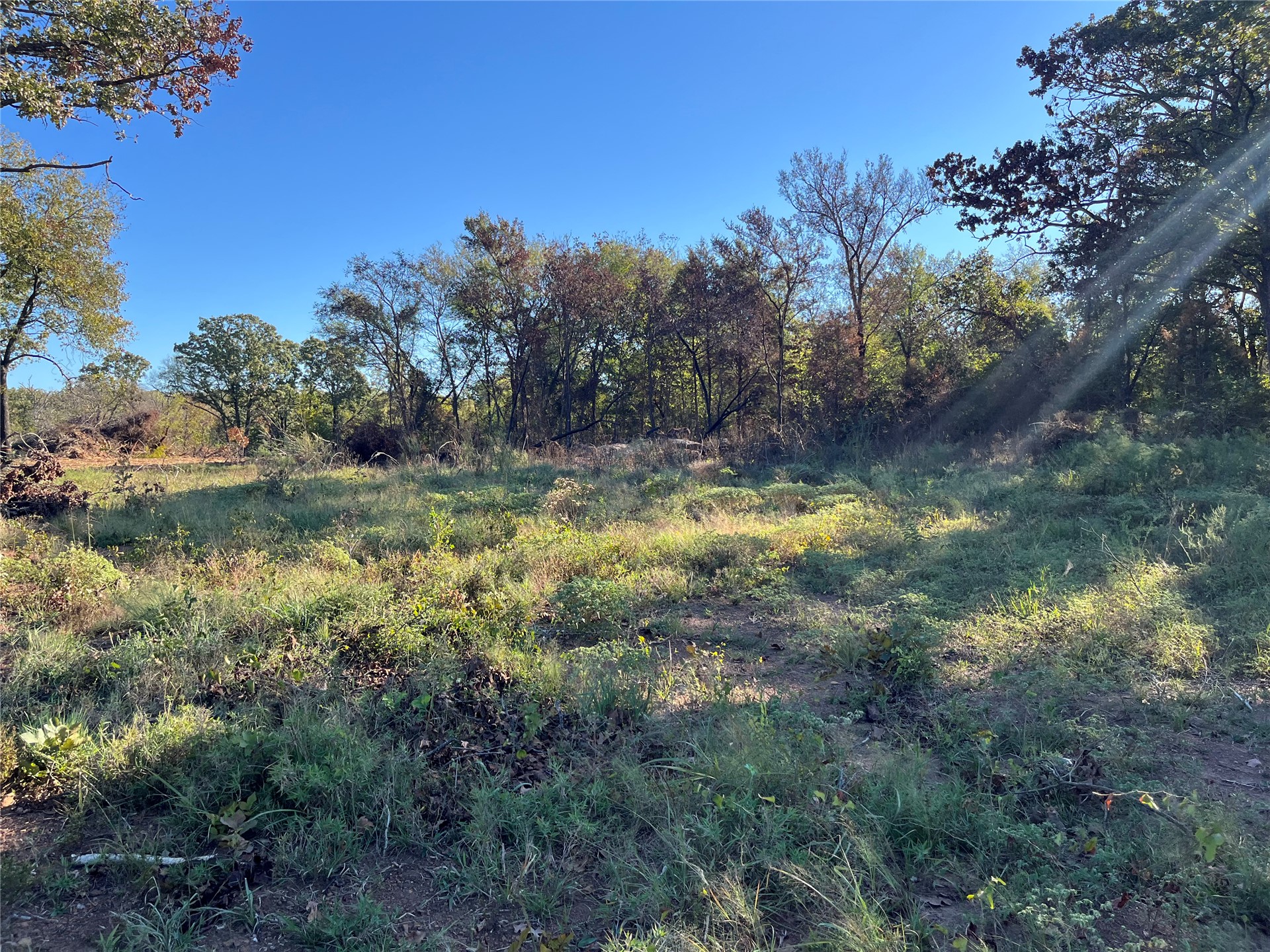 02 250 Road Property Photo 4