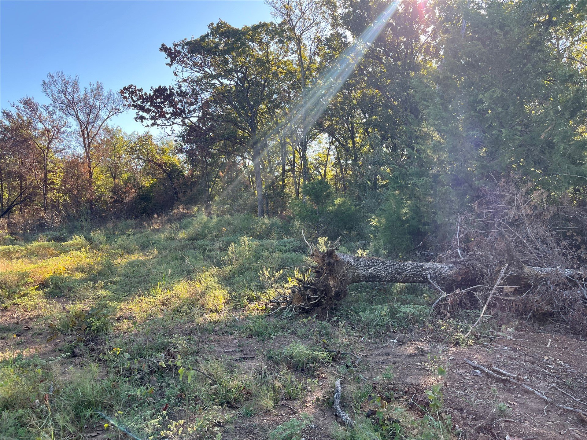 02 250 Road Property Photo 8