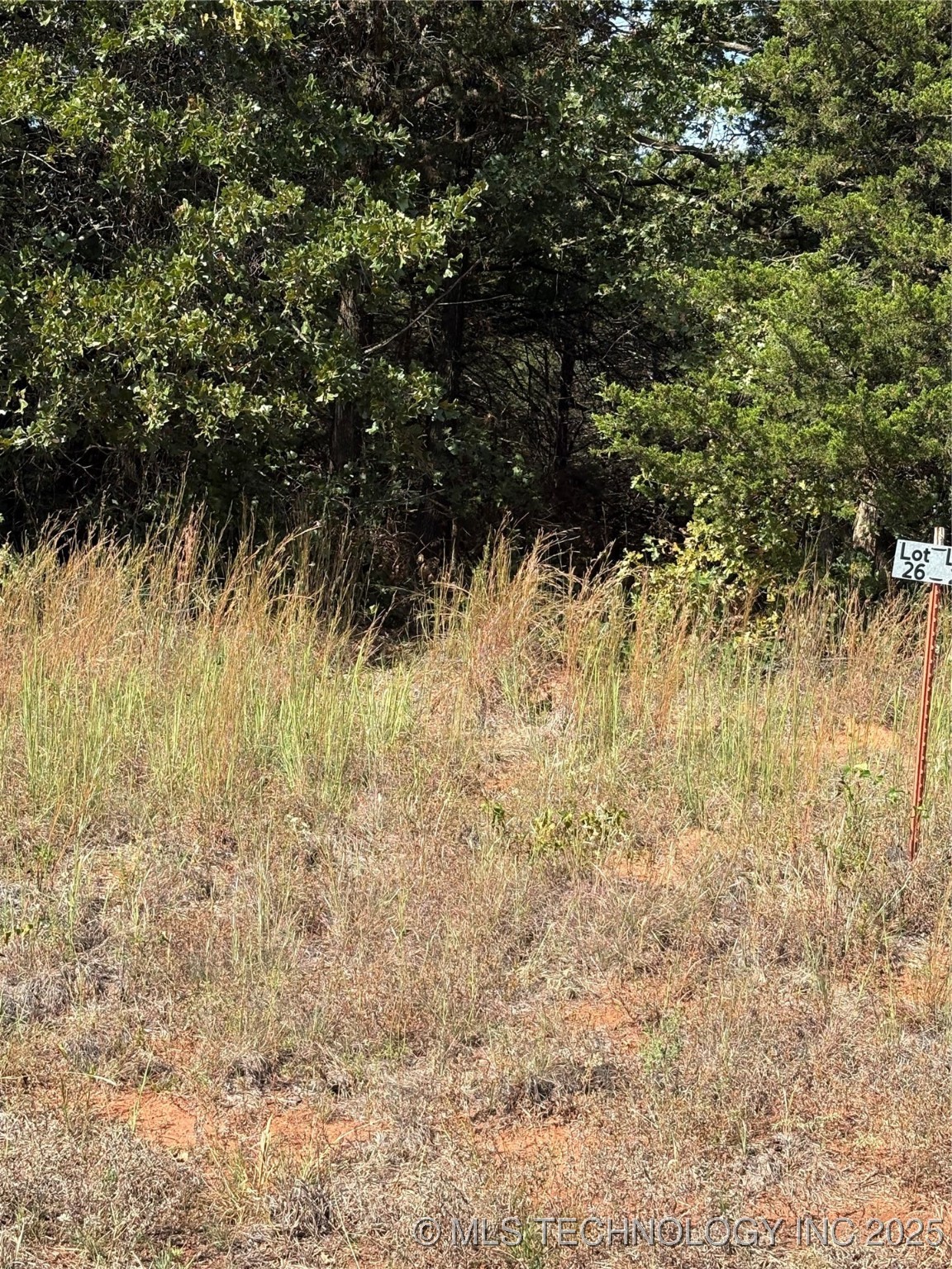 2518 S Mckenzie Property Photo 4