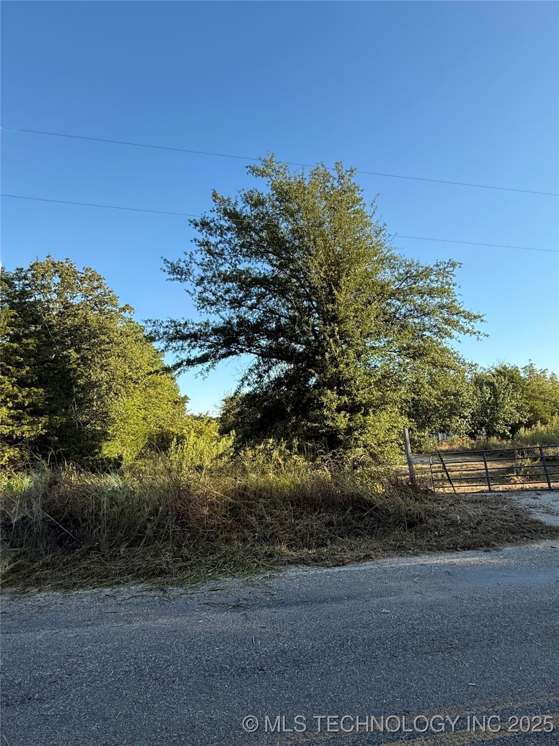 2048 Mockingbird Property Photo 5