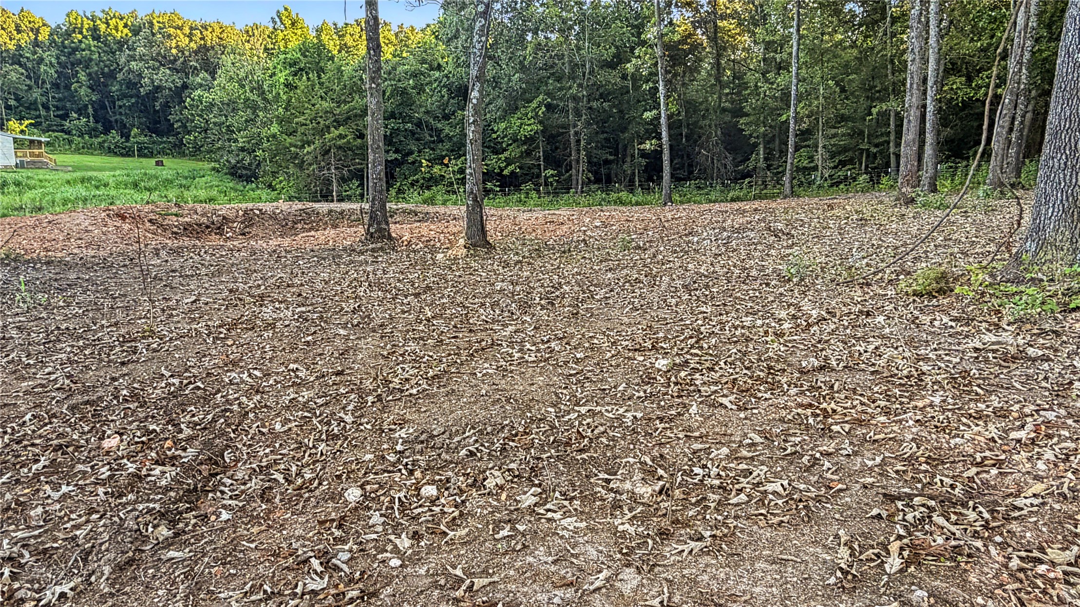 466708 Hwy 51 Property Photo 30