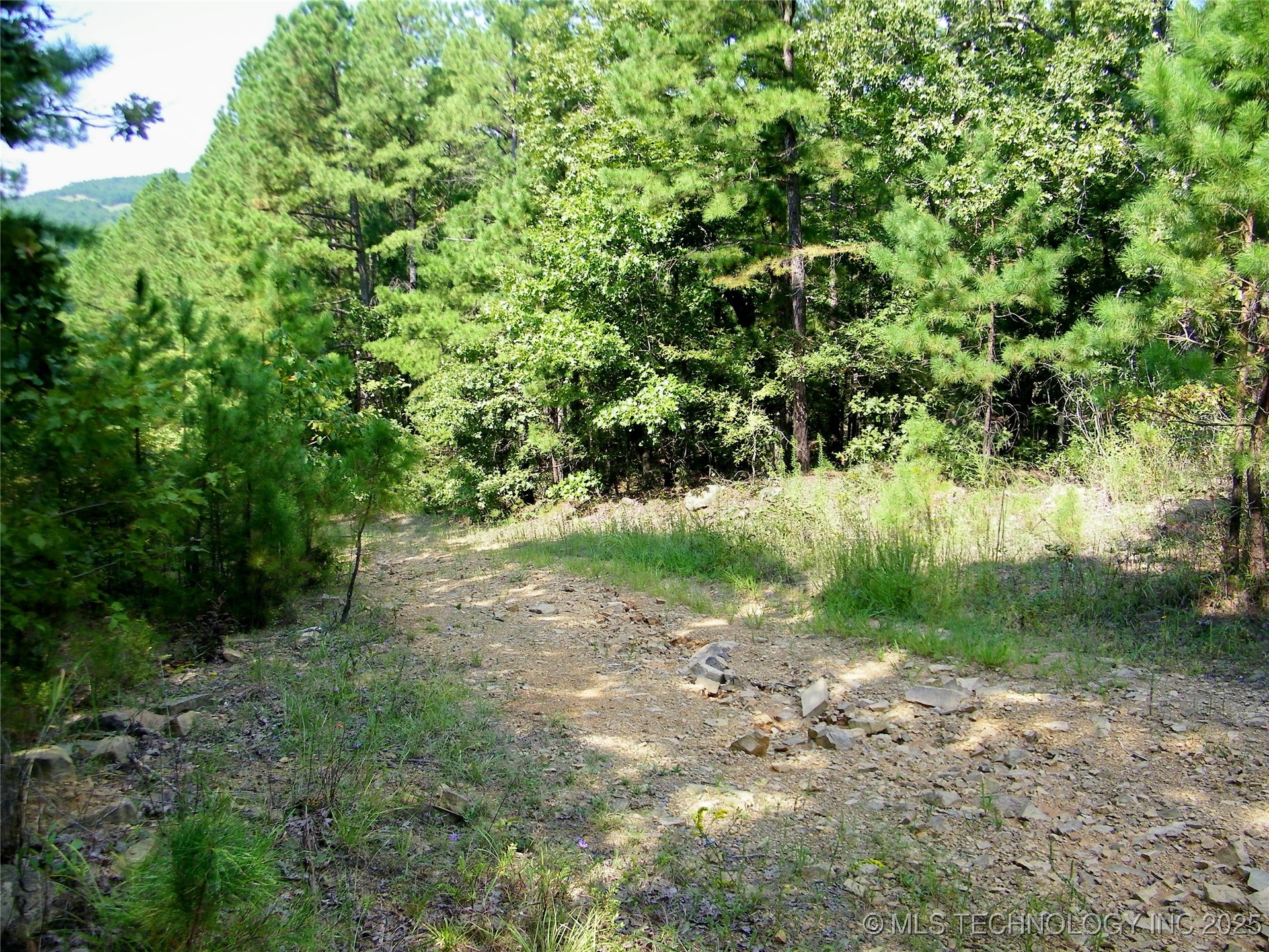 Ne 155th Street Property Photo 21
