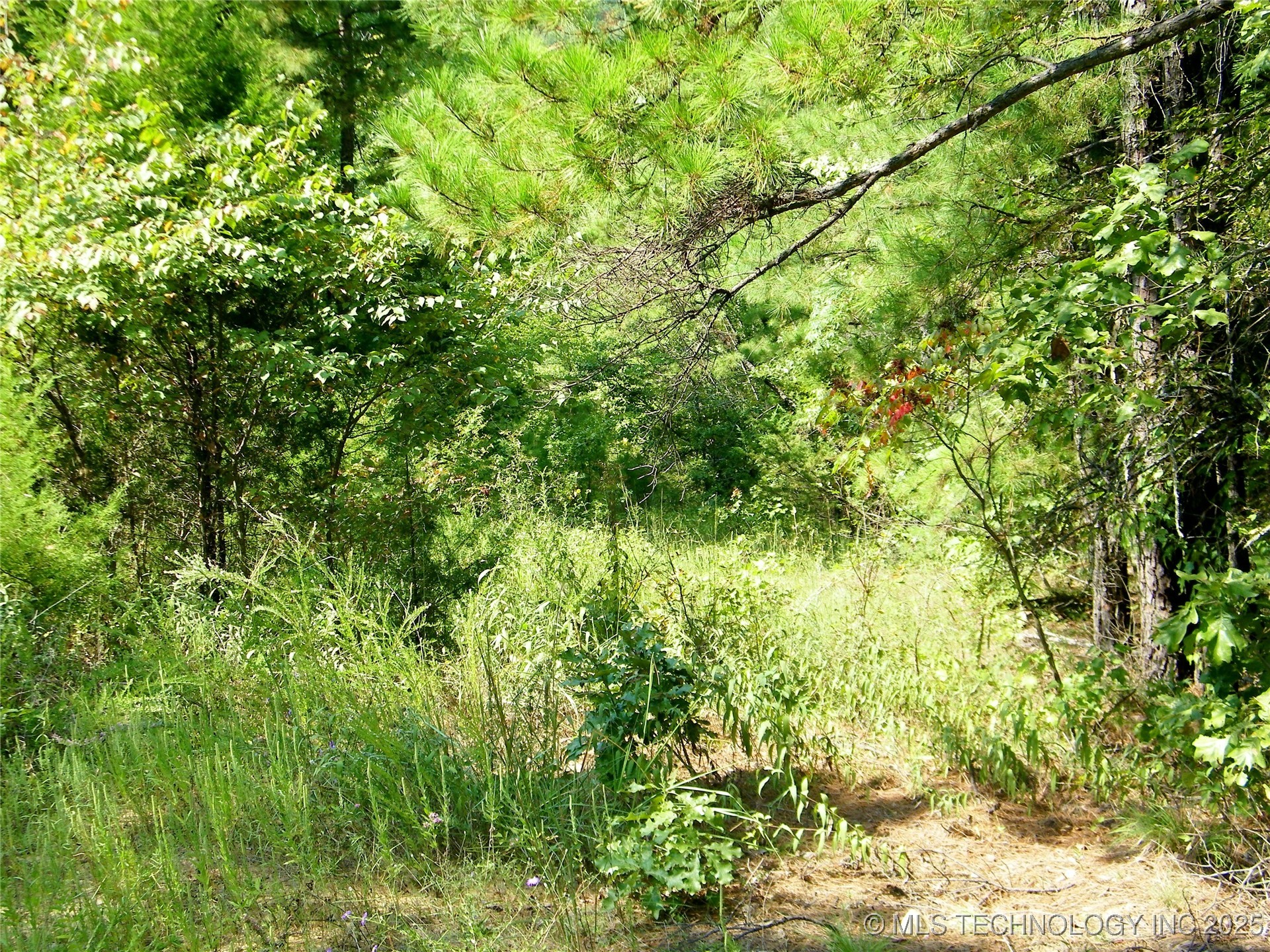 Ne 155th Street Property Photo 25