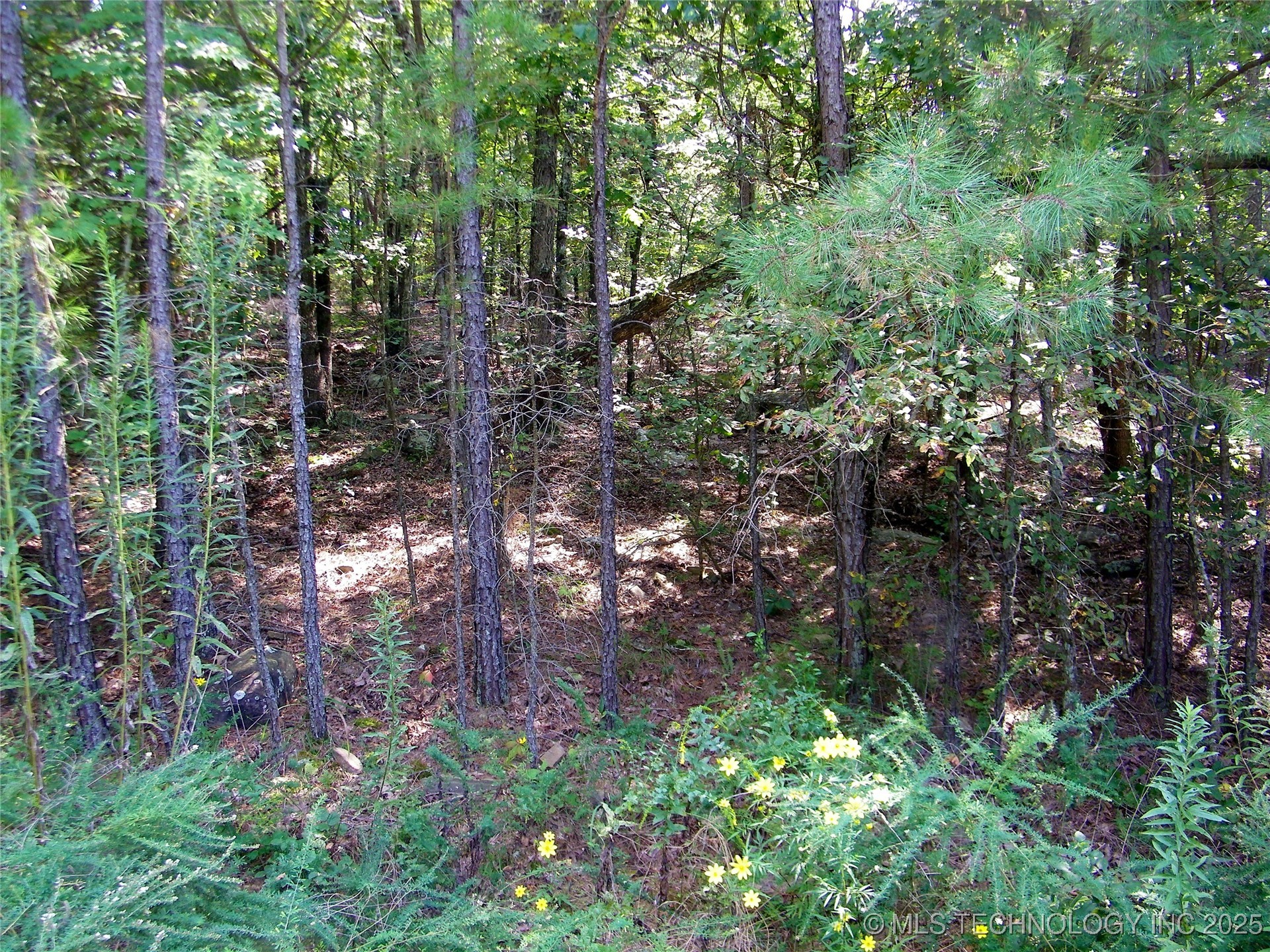 Ne 155th Street Property Photo 33