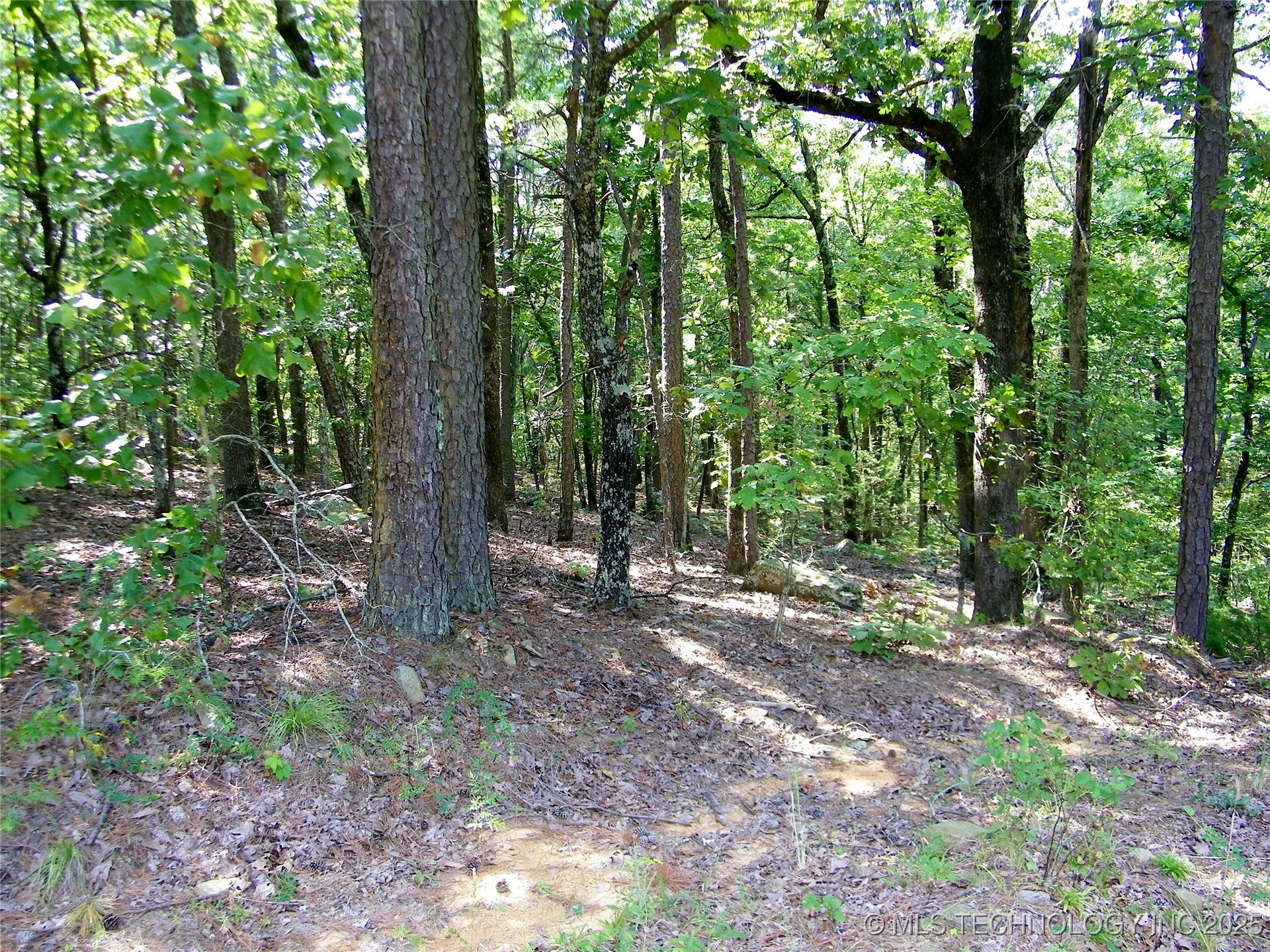 Ne 155th Street Property Photo 45