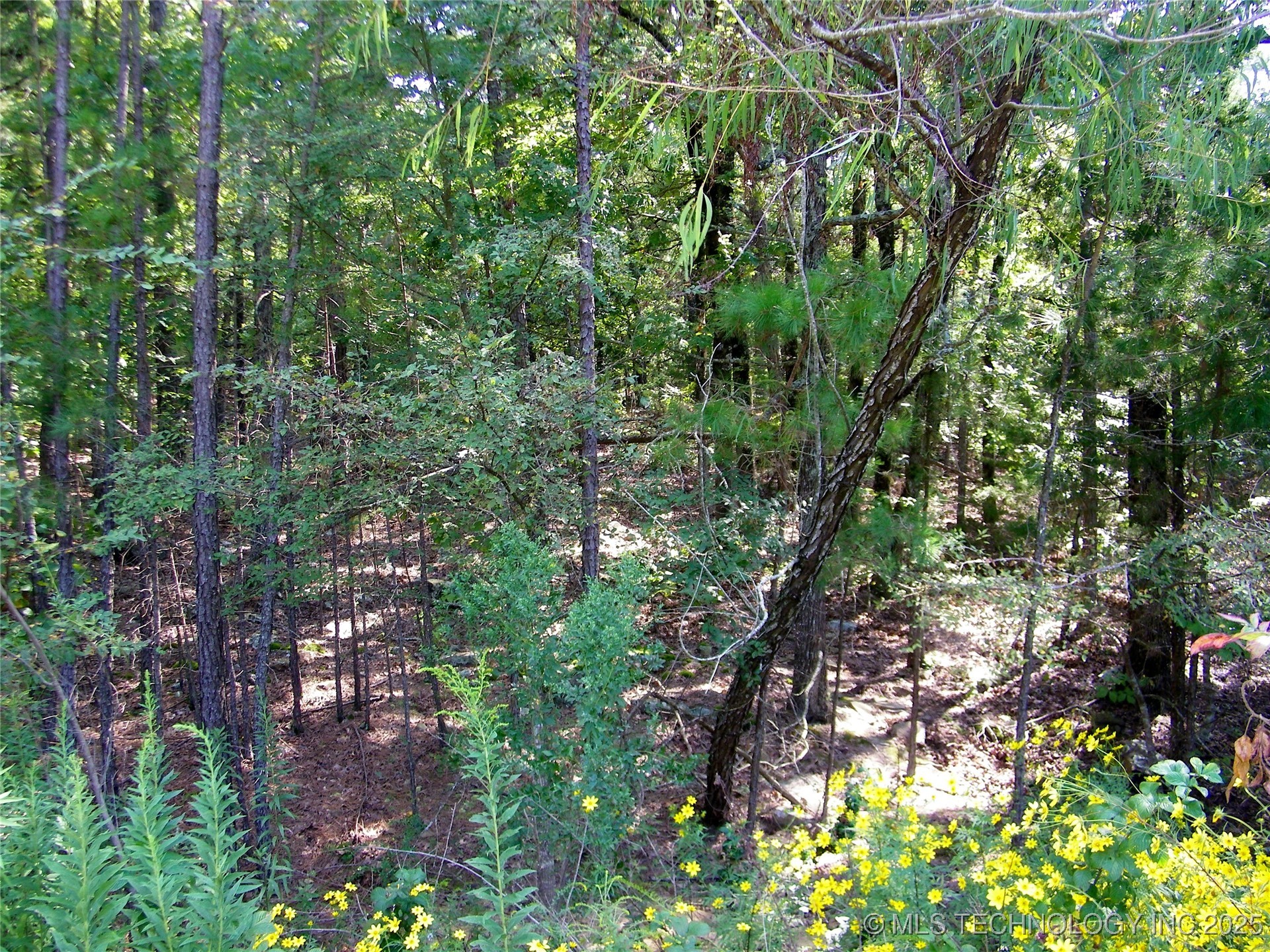 Ne 155th Street Property Photo 60