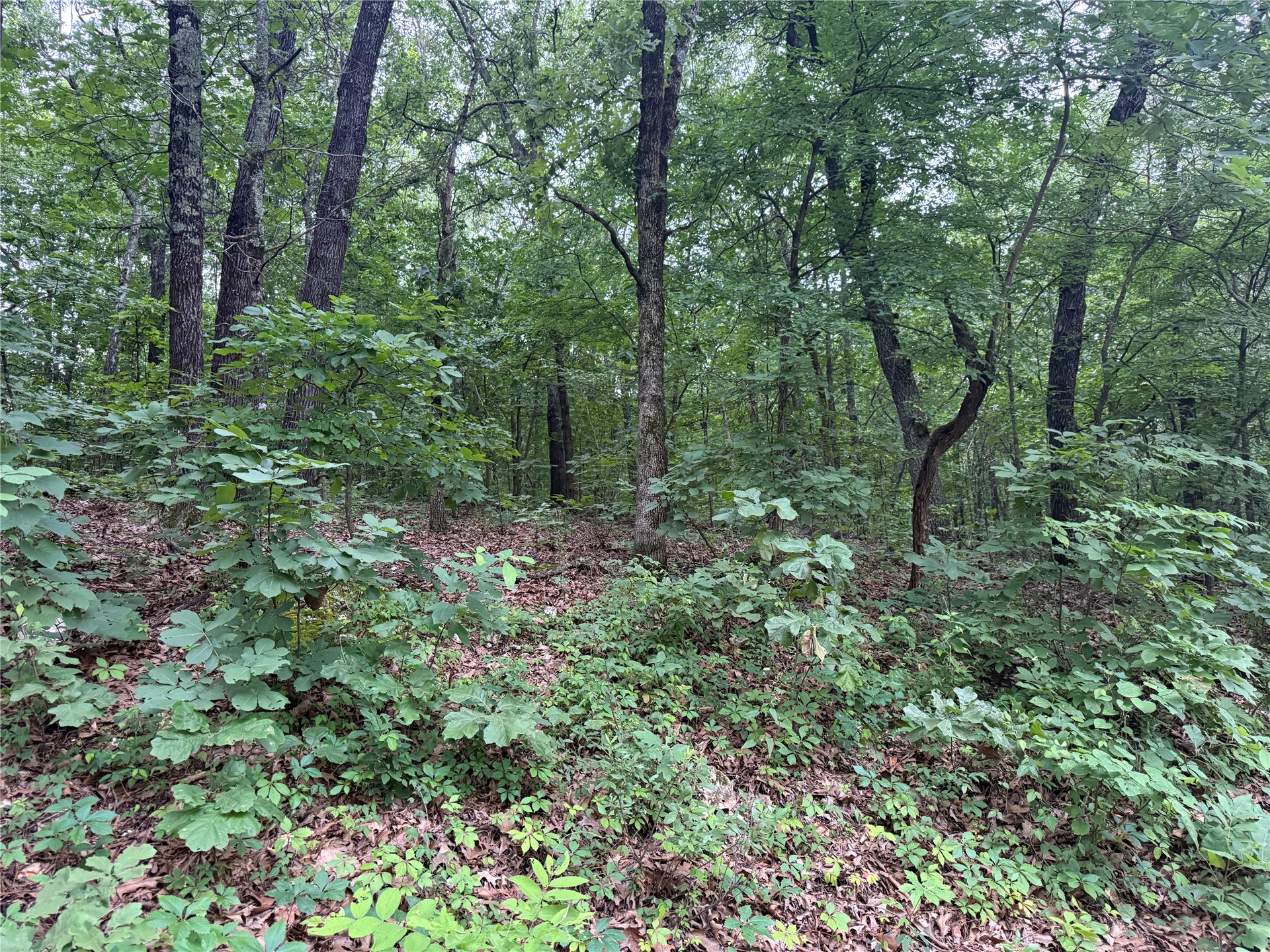 E 610 Road Property Photo 1