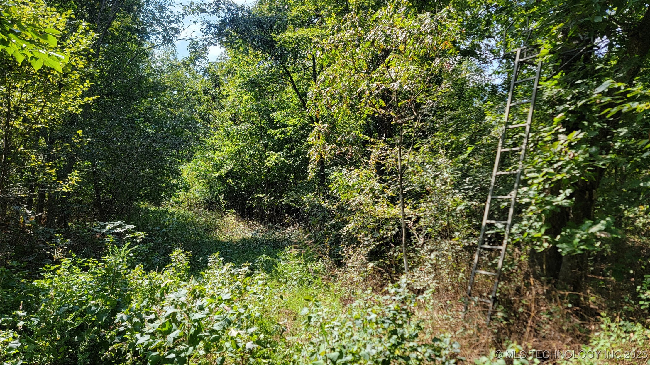 46029 S 660 Property Photo 32