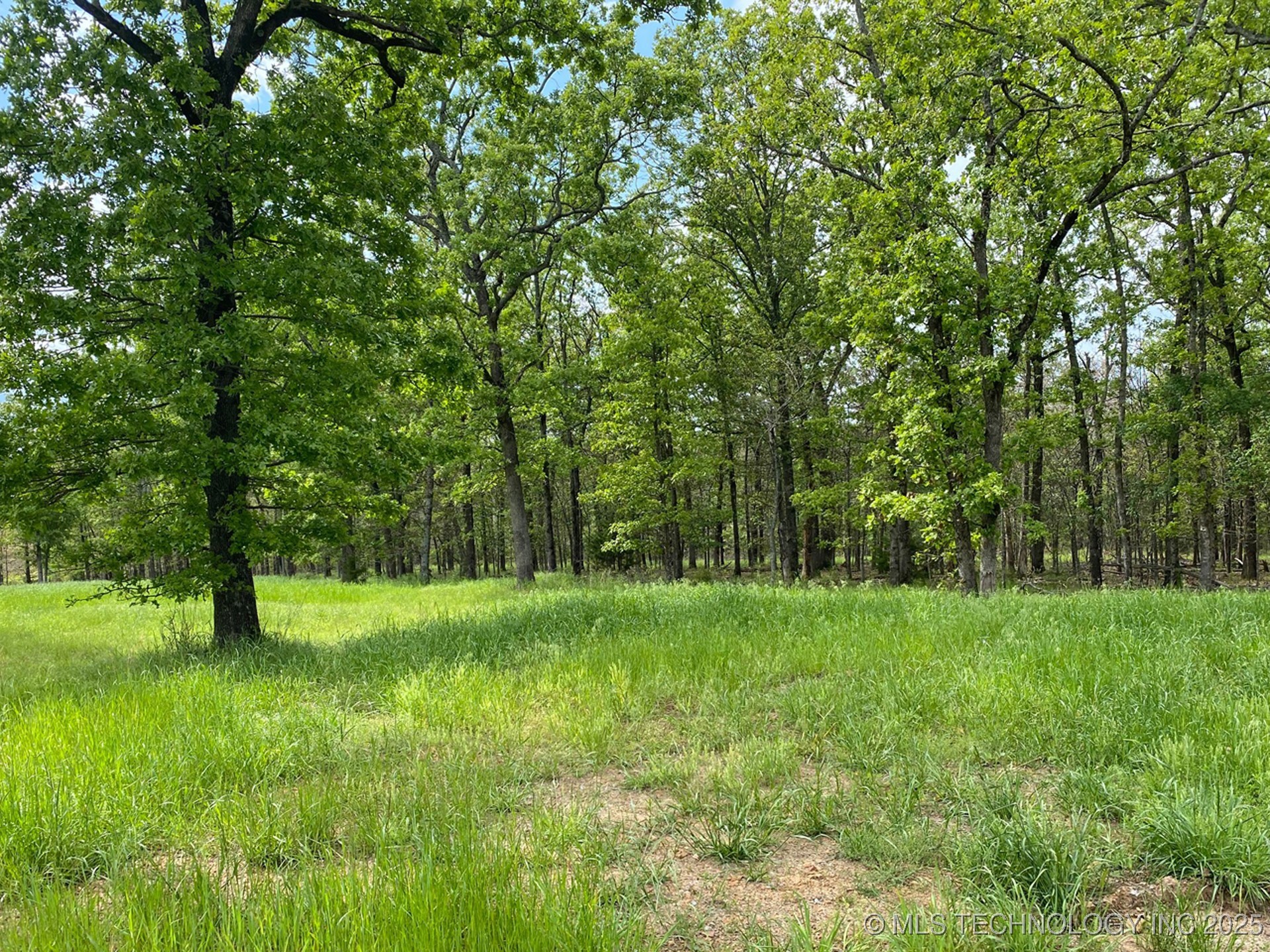 729 Ridgeview Drive Property Photo 4
