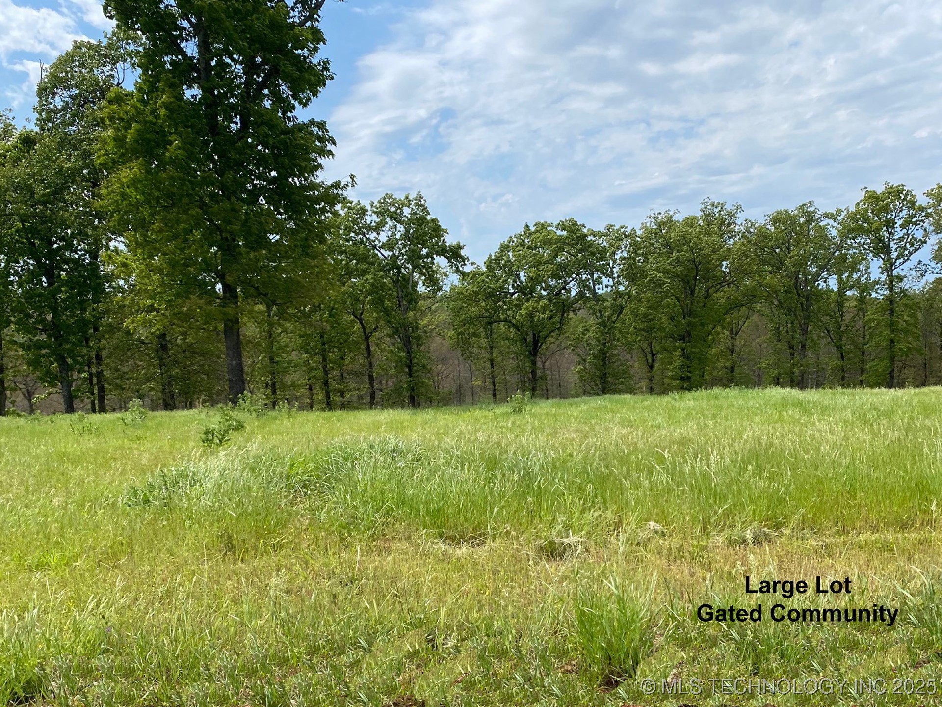 790 Ridgeview Drive Property Photo 1