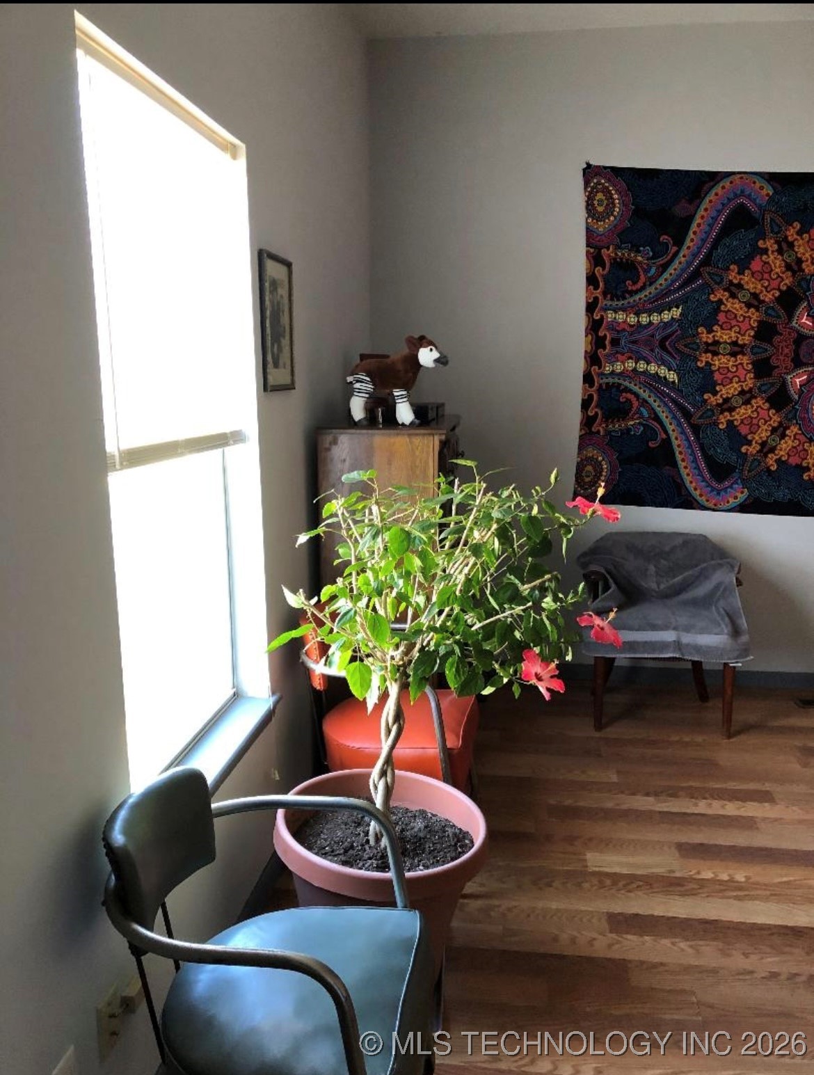 518 E A Street Property Photo 18