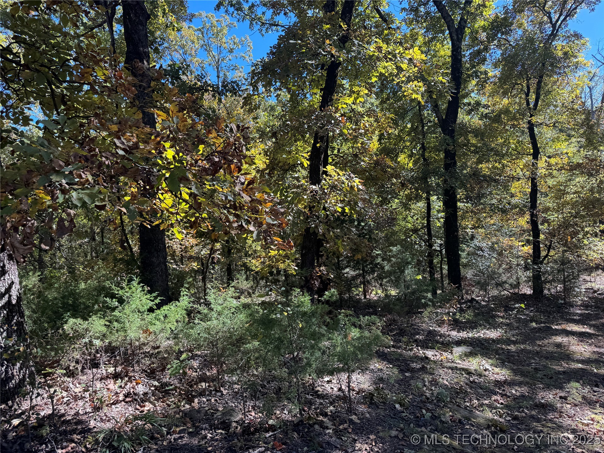 1 W 867 Road Property Photo 1