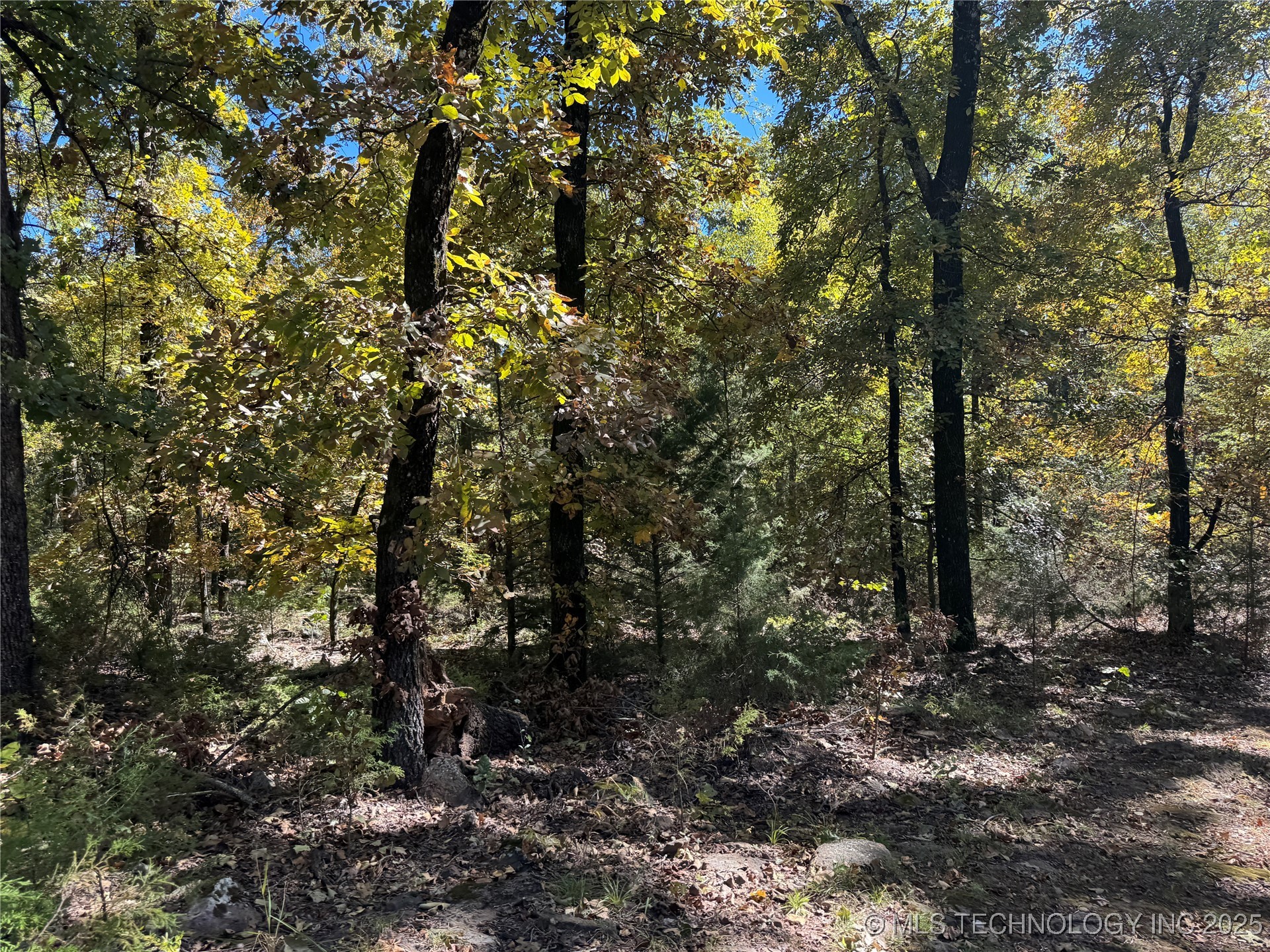 2 W 867 Road Property Photo 10