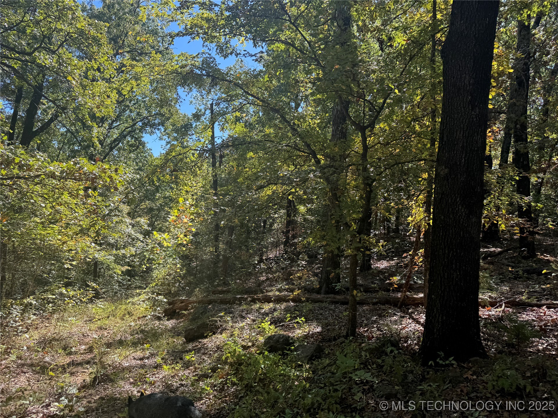 2 W 867 Road Property Photo 11