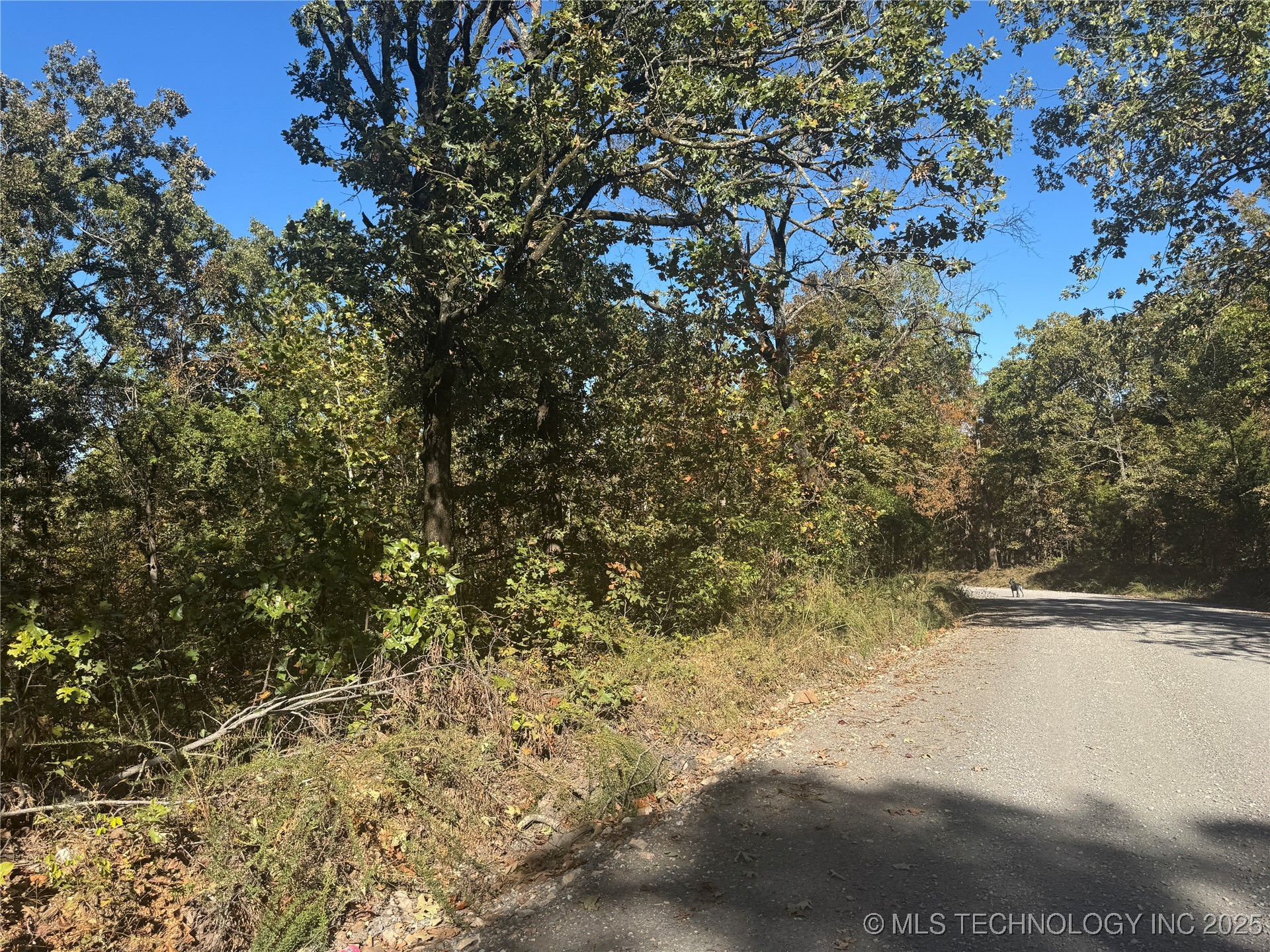 2 W 867 Road Property Photo 12