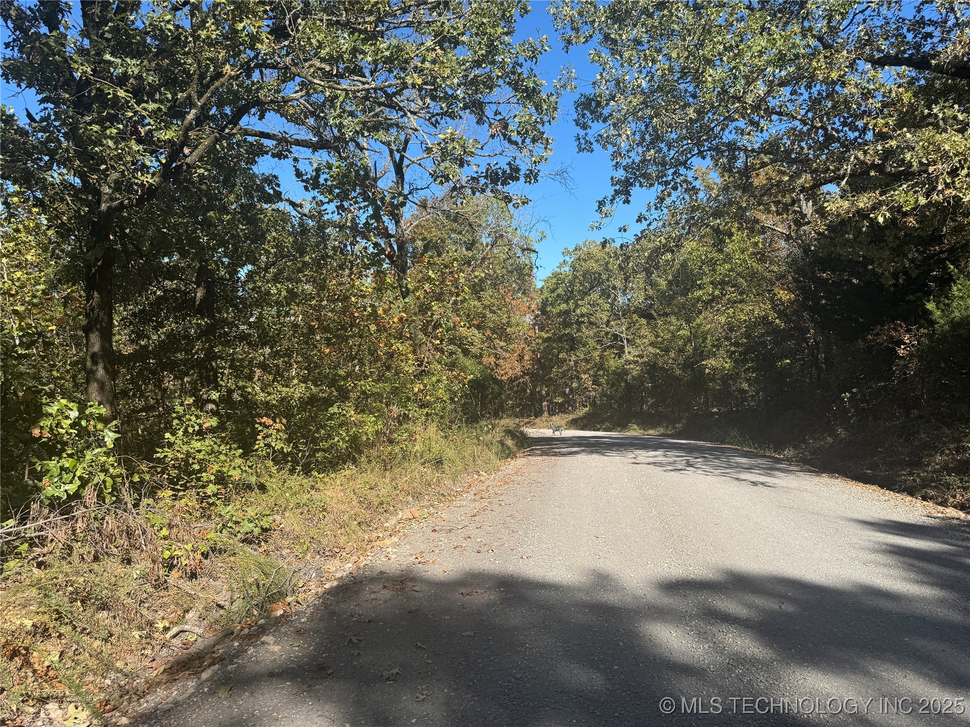 2 W 867 Road Property Photo 13