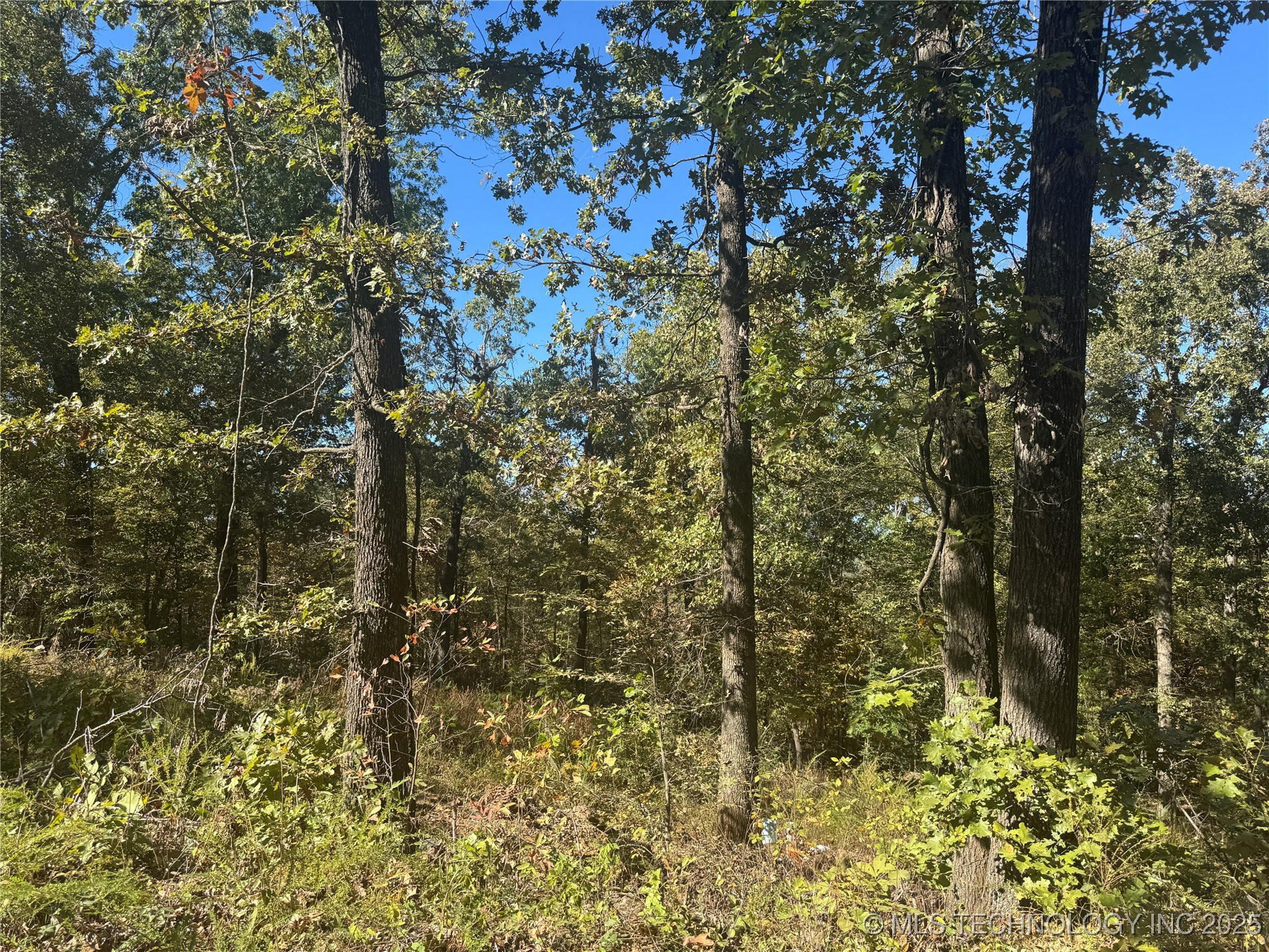 2 W 867 Road Property Photo 14