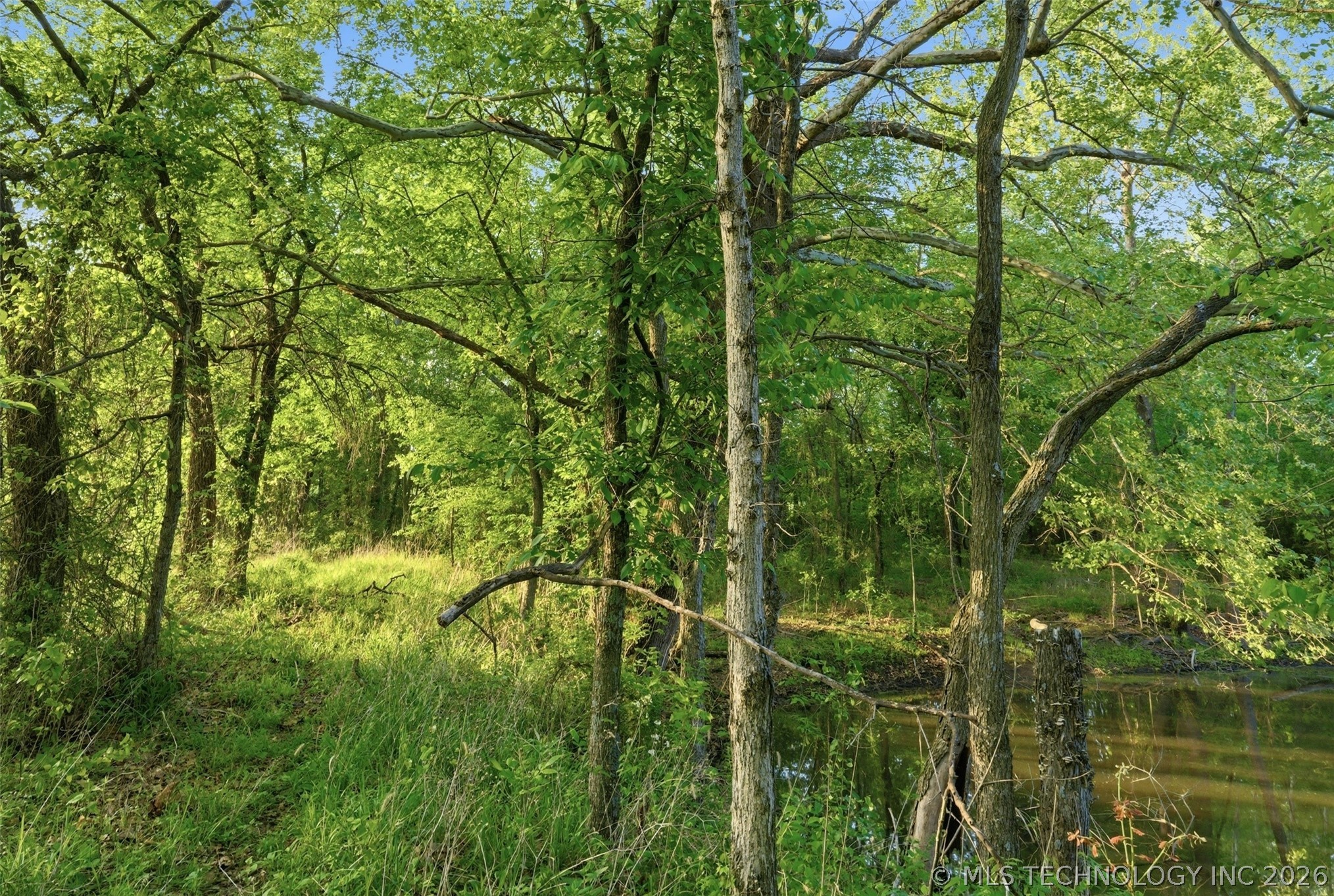 32782 S 4310 Road Property Photo 18
