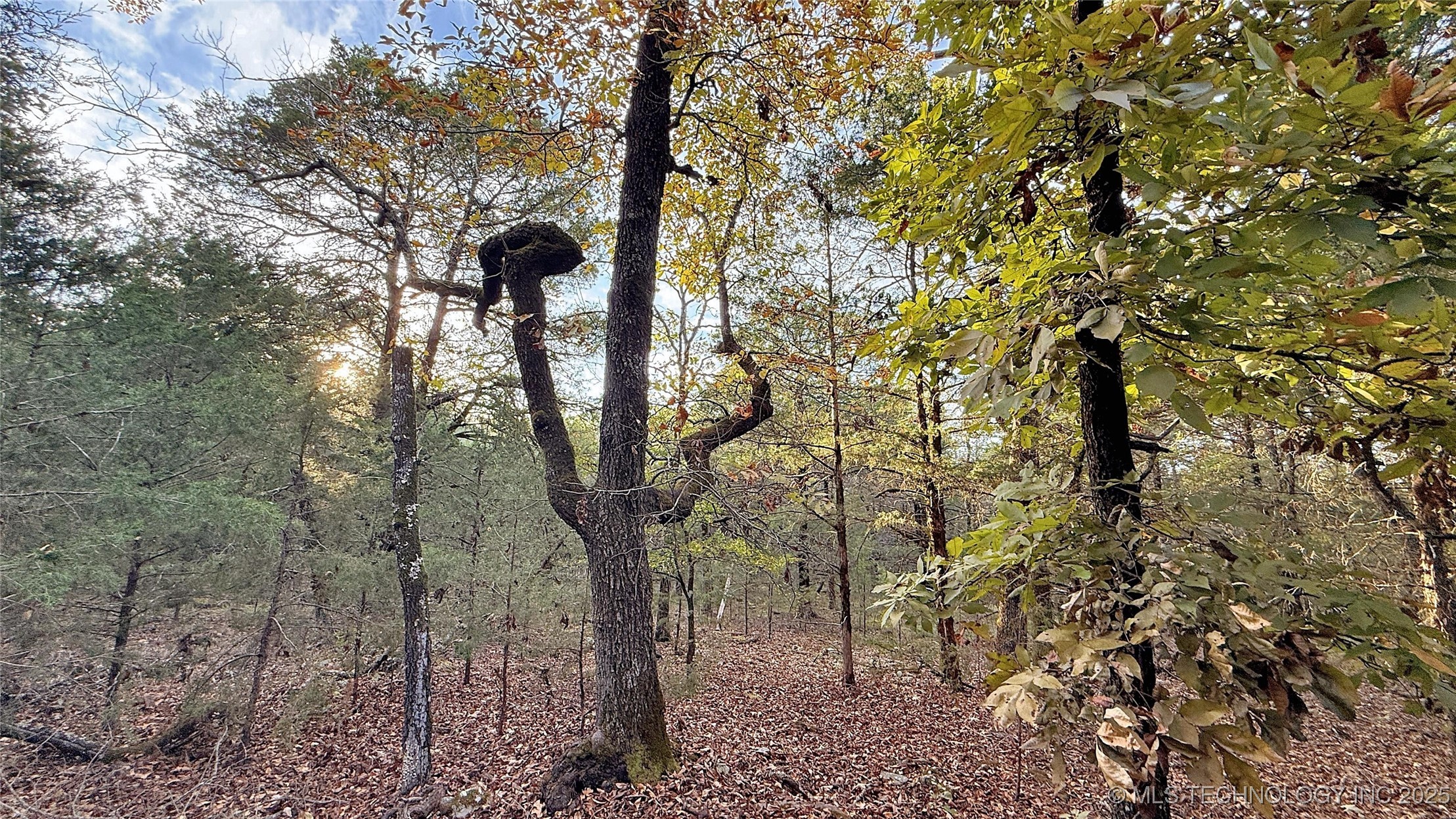 30000 Hummingbird Lane Property Photo 1