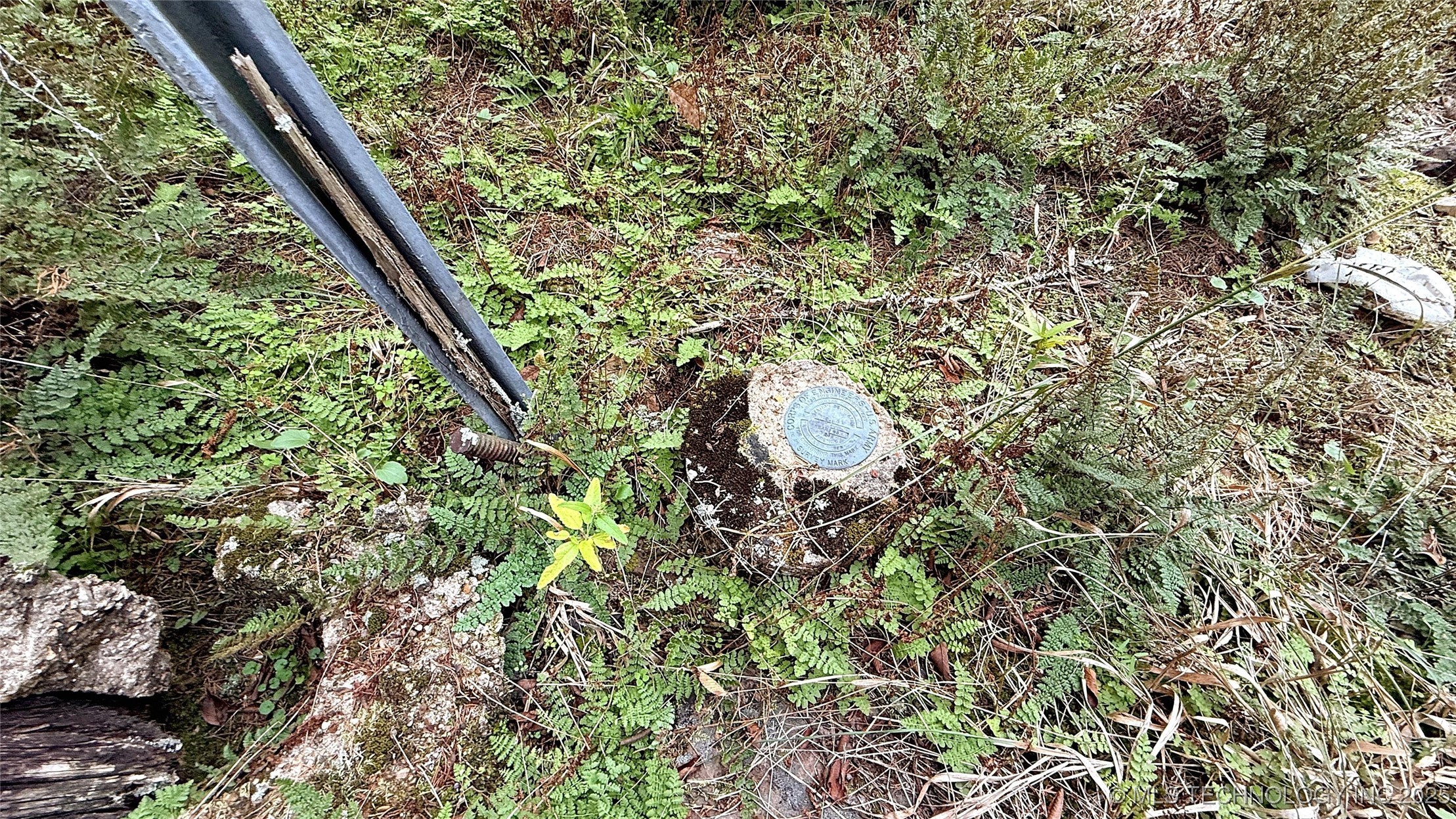 30000 Hummingbird Lane Property Photo 4