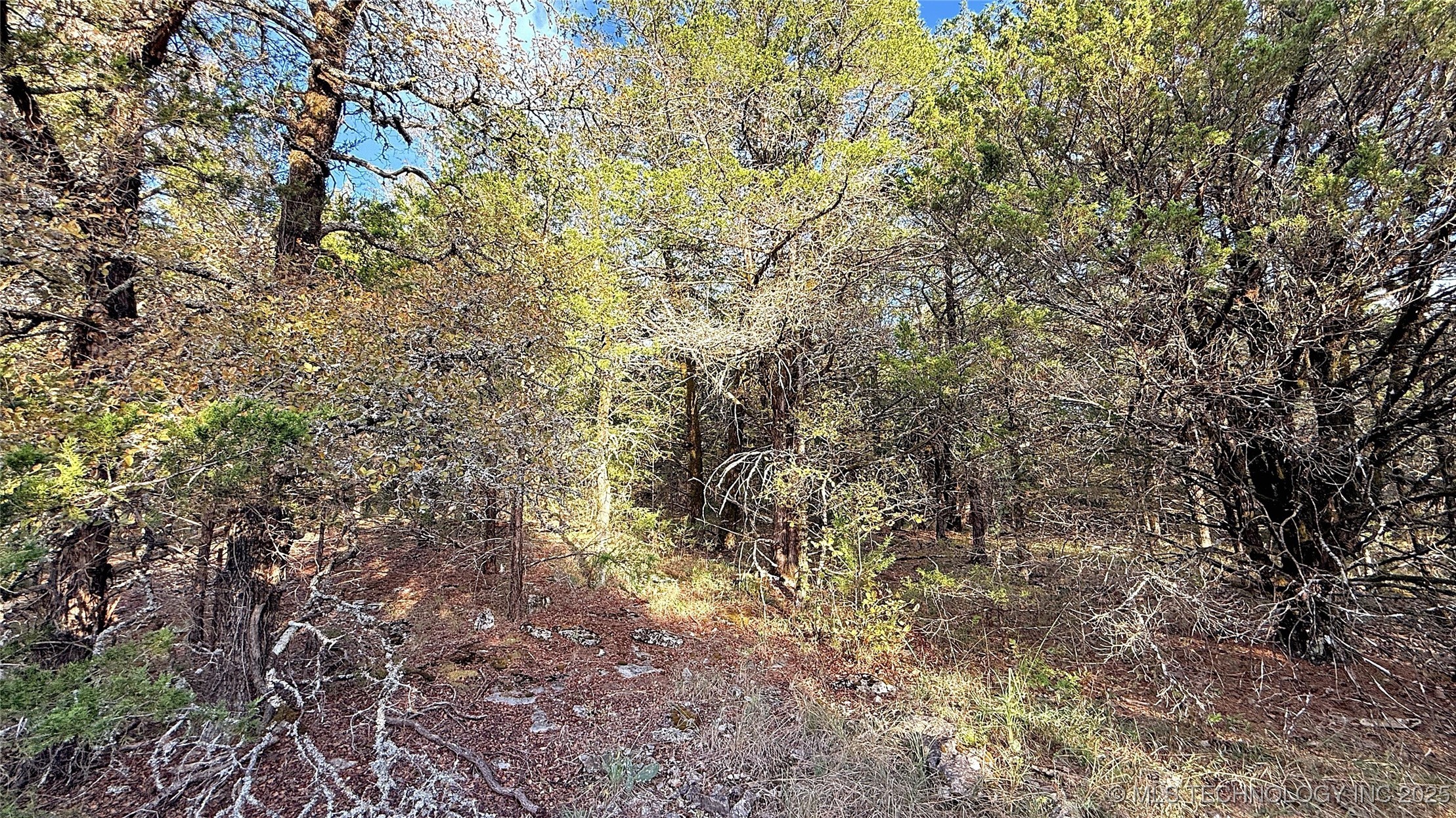 30000 Hummingbird Lane Property Photo 5