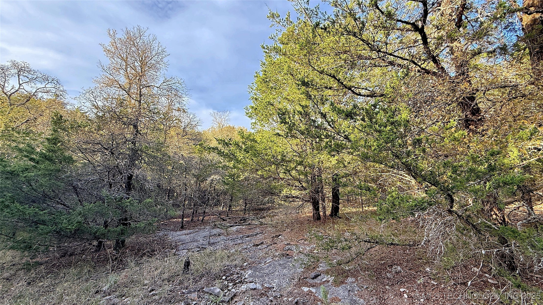 30000 Hummingbird Lane Property Photo 6