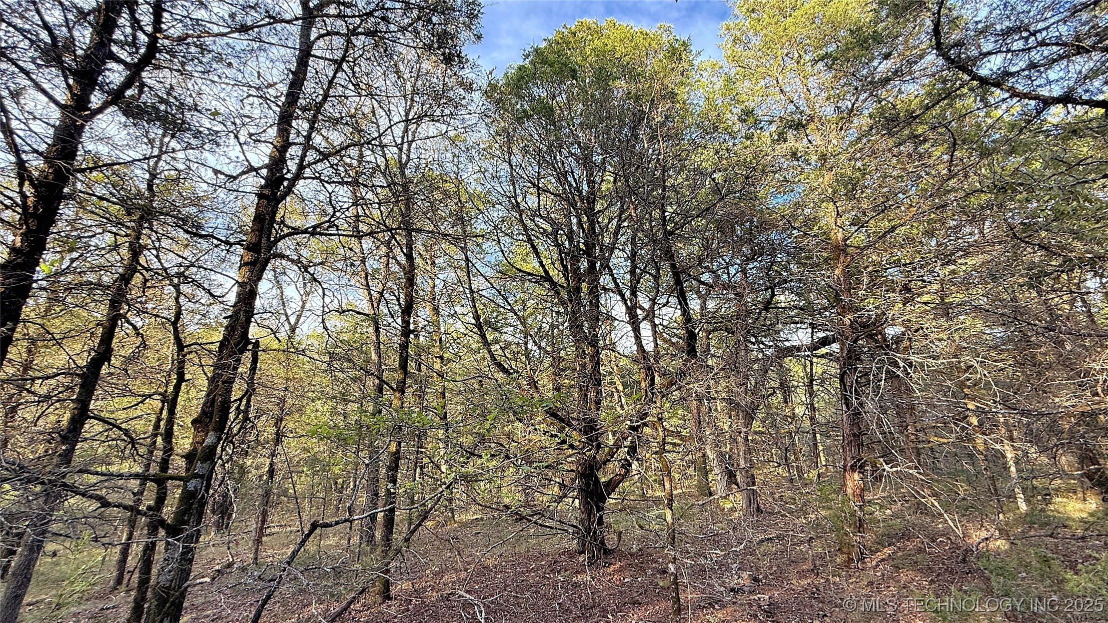 30000 Hummingbird Lane Property Photo 7