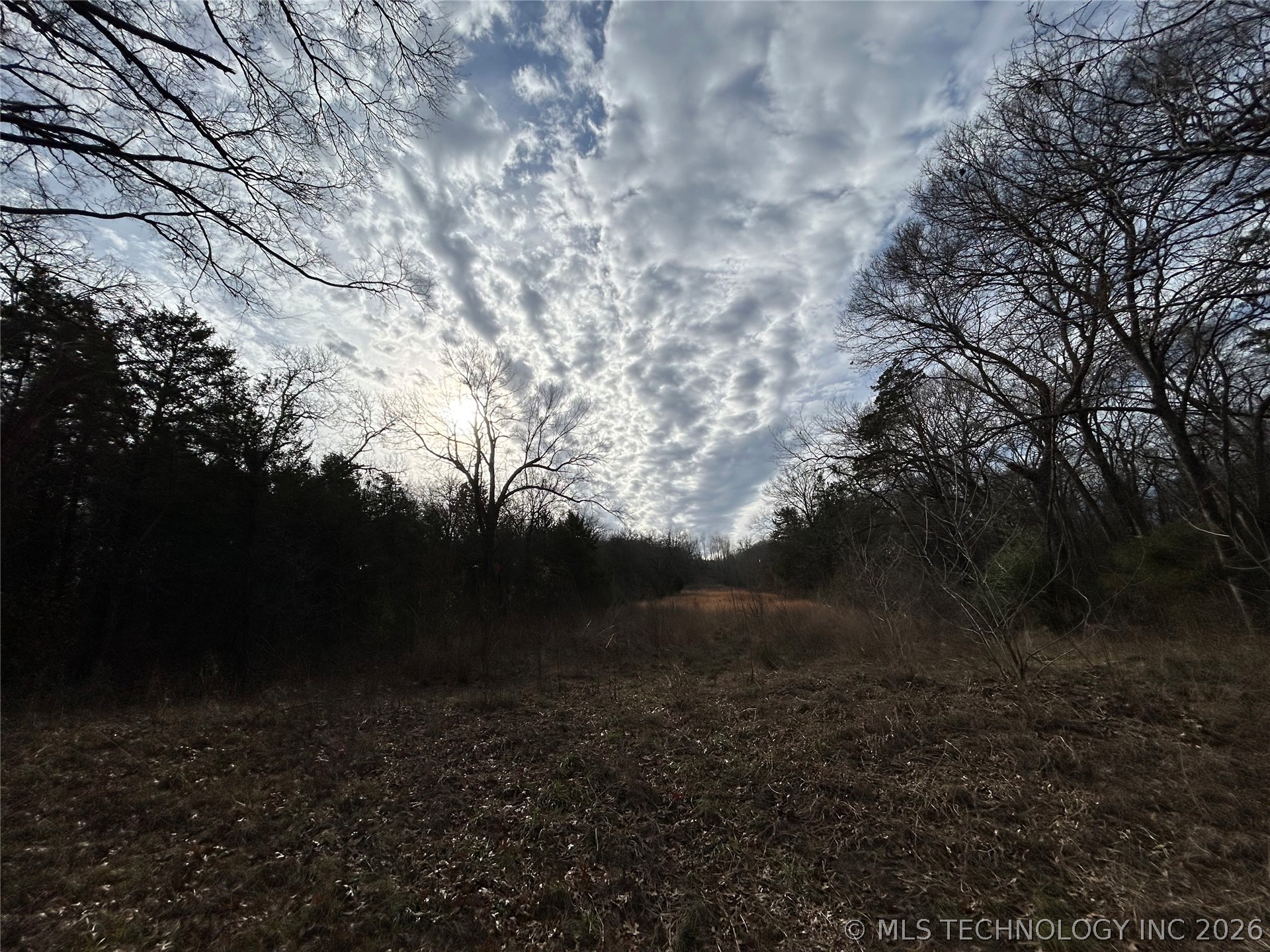 80 Tyler Road Property Photo 12