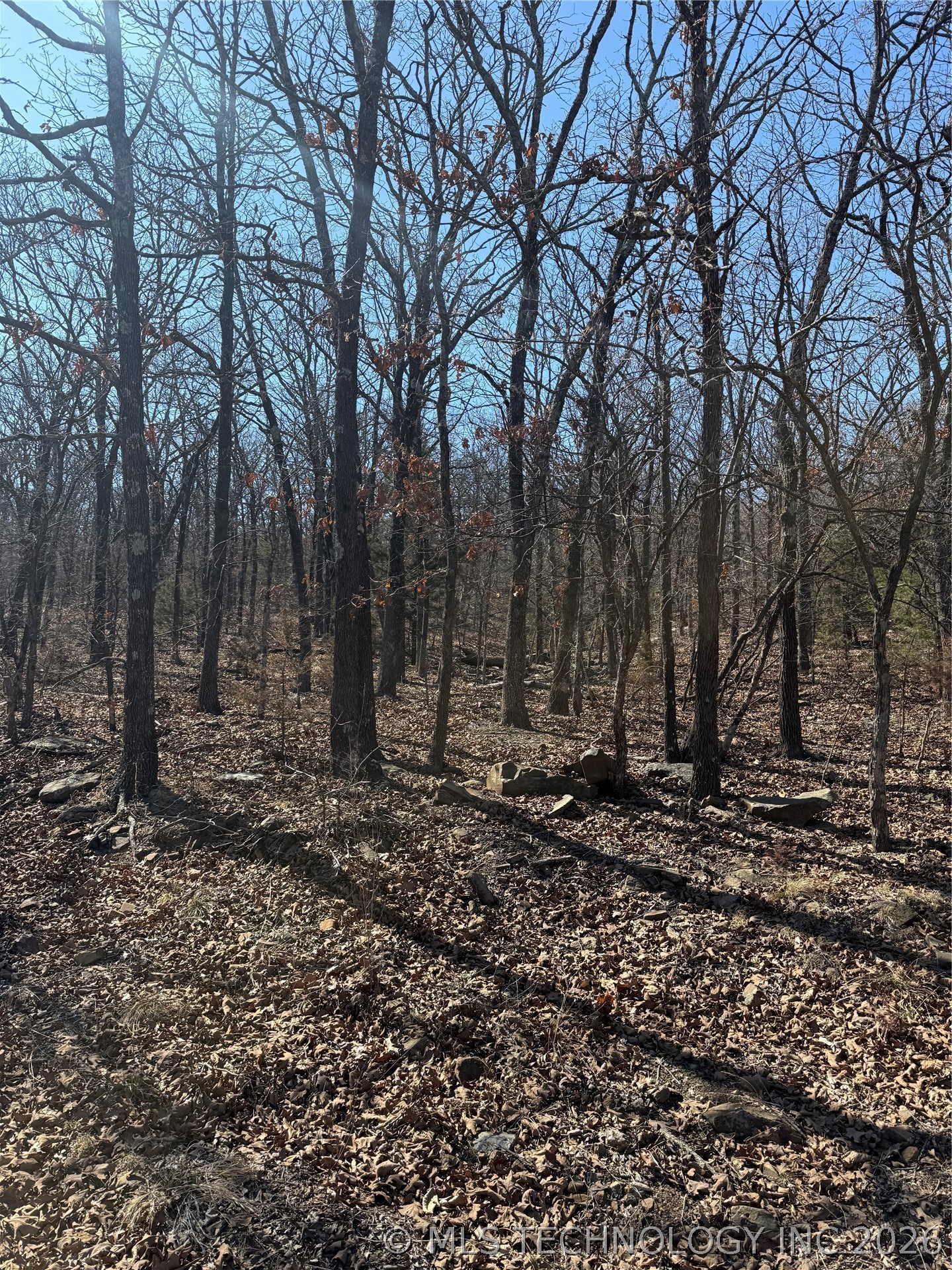 Fig Road Property Photo 29