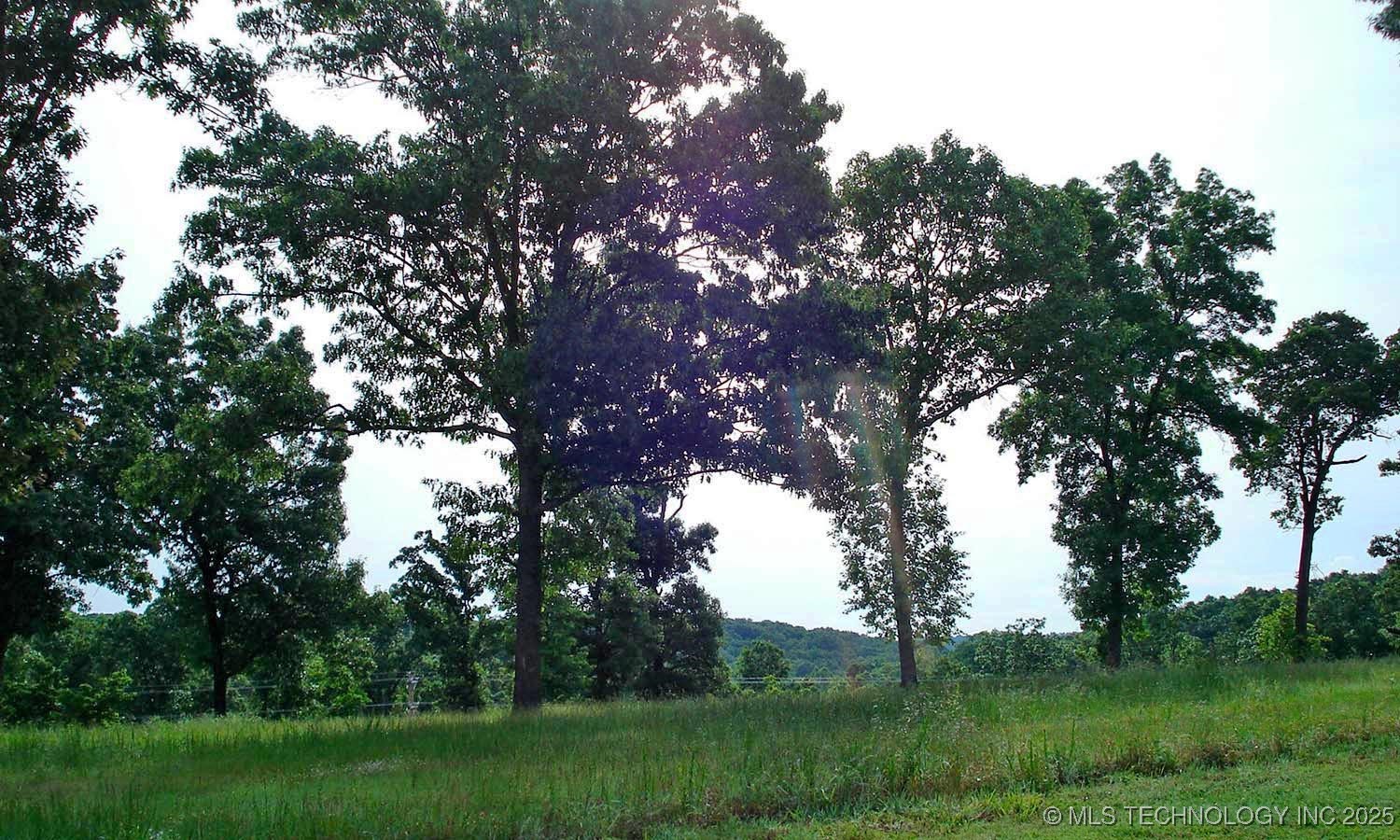 868 Avalon Place Property Photo 17