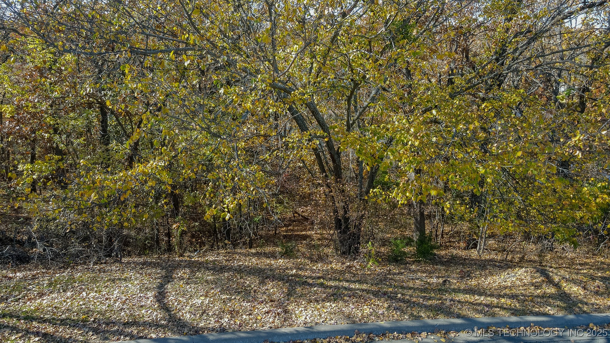 12110 S 14th Court Property Photo 23