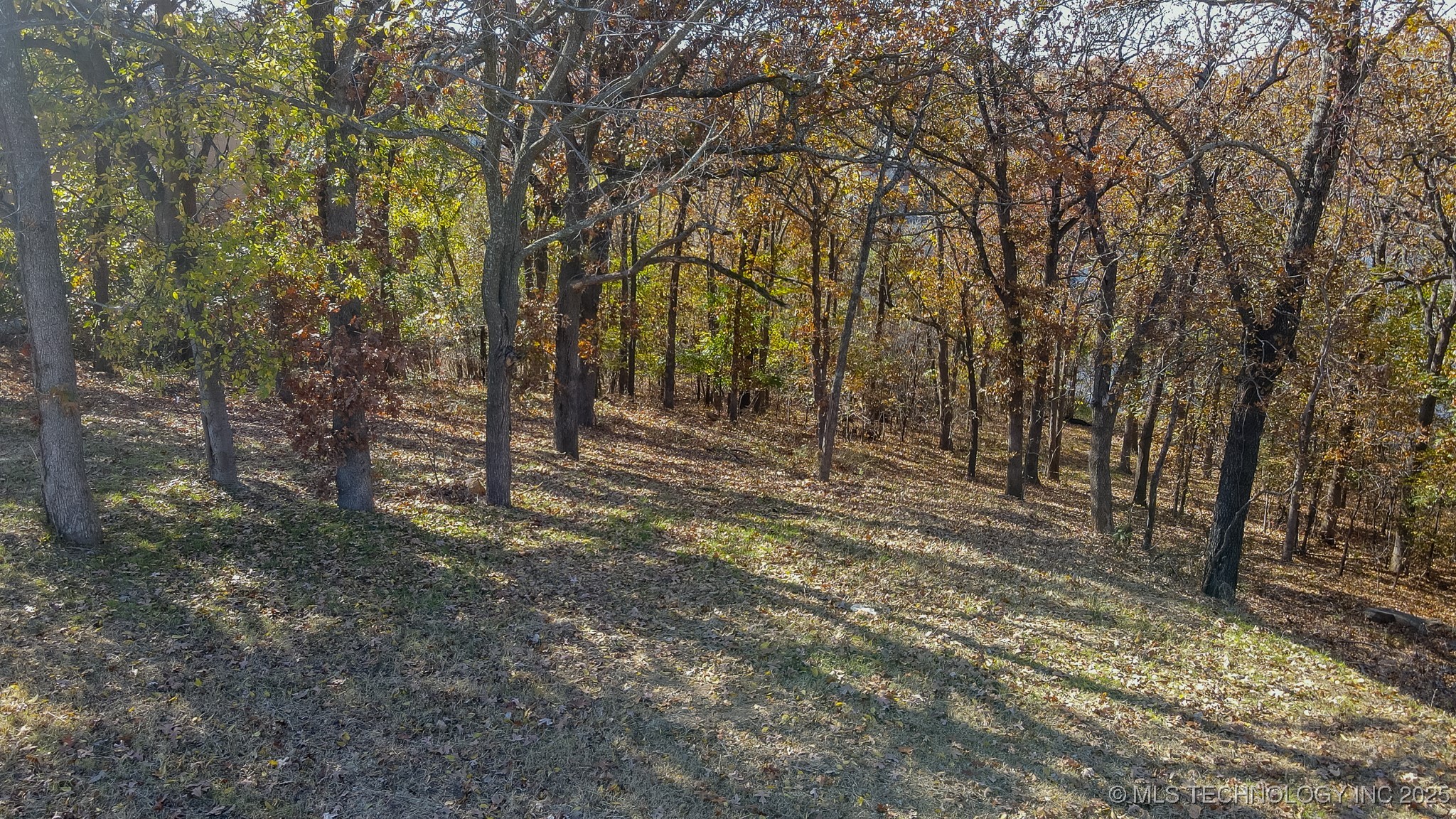 12116 S 14th Court Property Photo 17