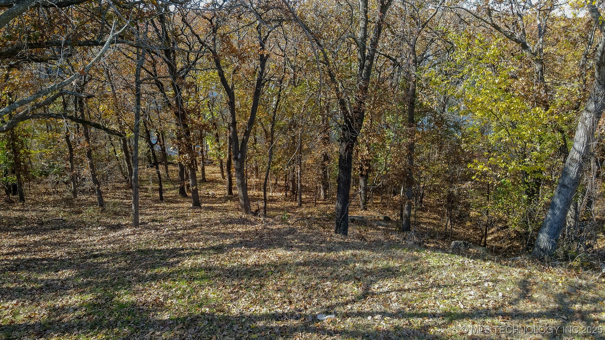 12116 S 14th Court Property Photo 18