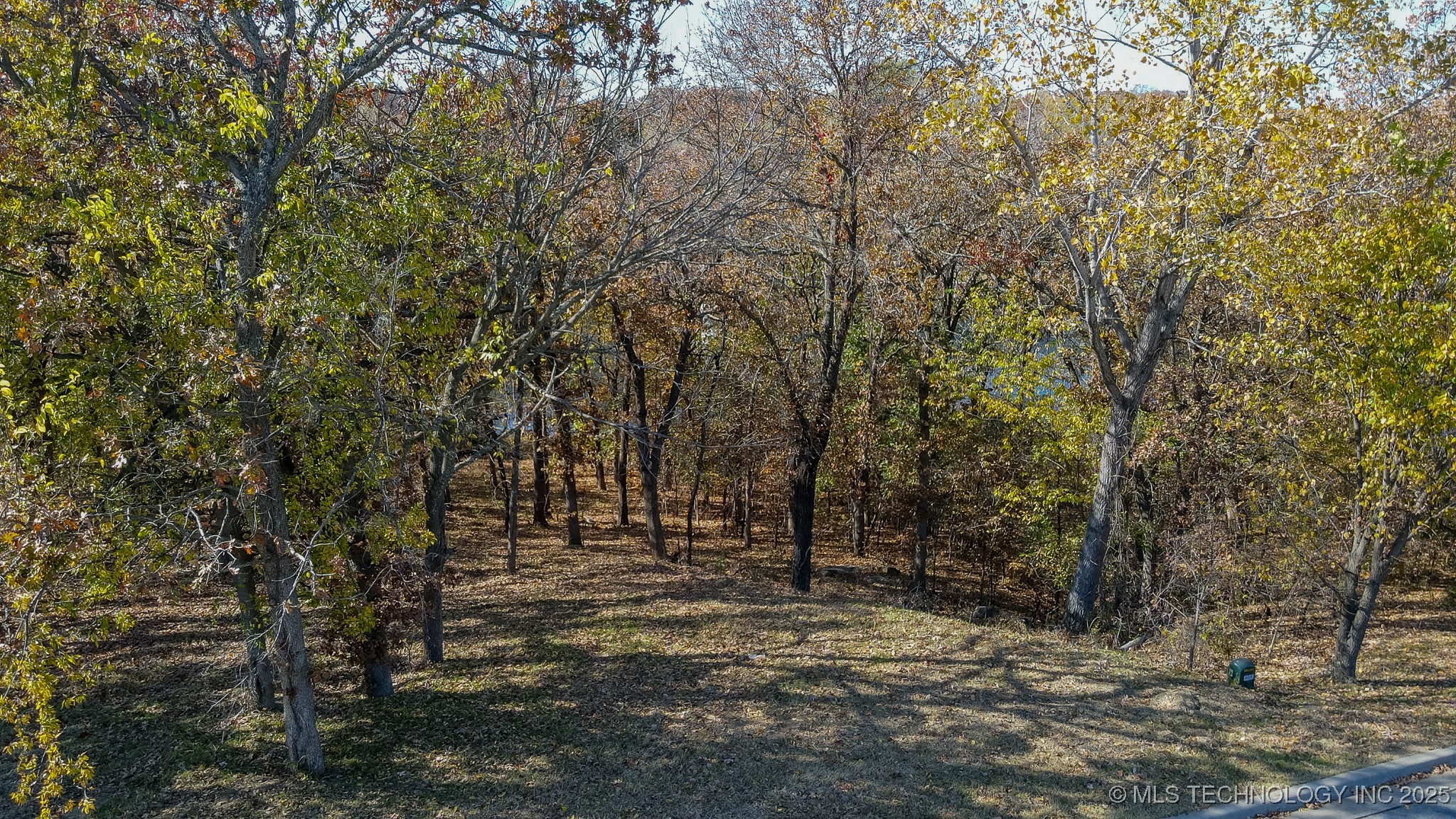 12116 S 14th Court Property Photo 19