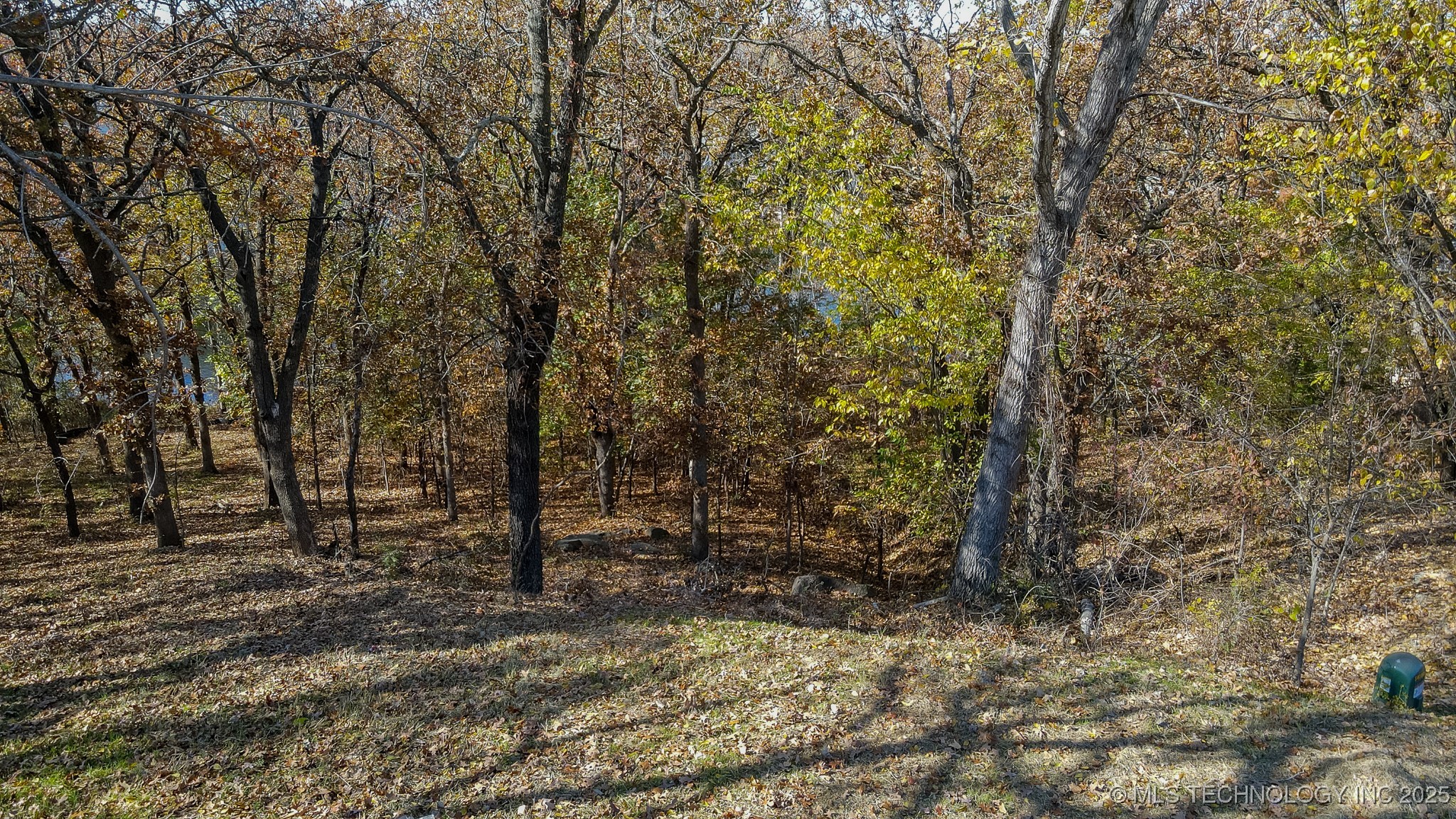 12116 S 14th Court Property Photo 30
