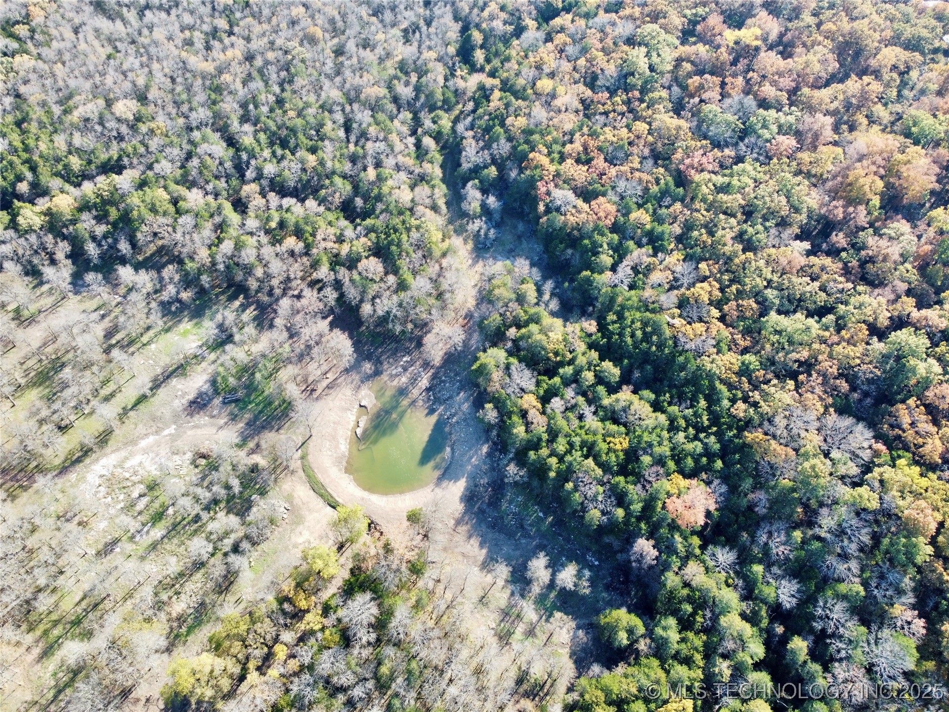 Hickory Property Photo 18