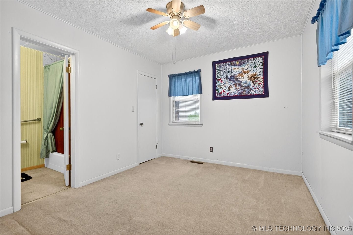 715 S Hickory Street Property Photo 11