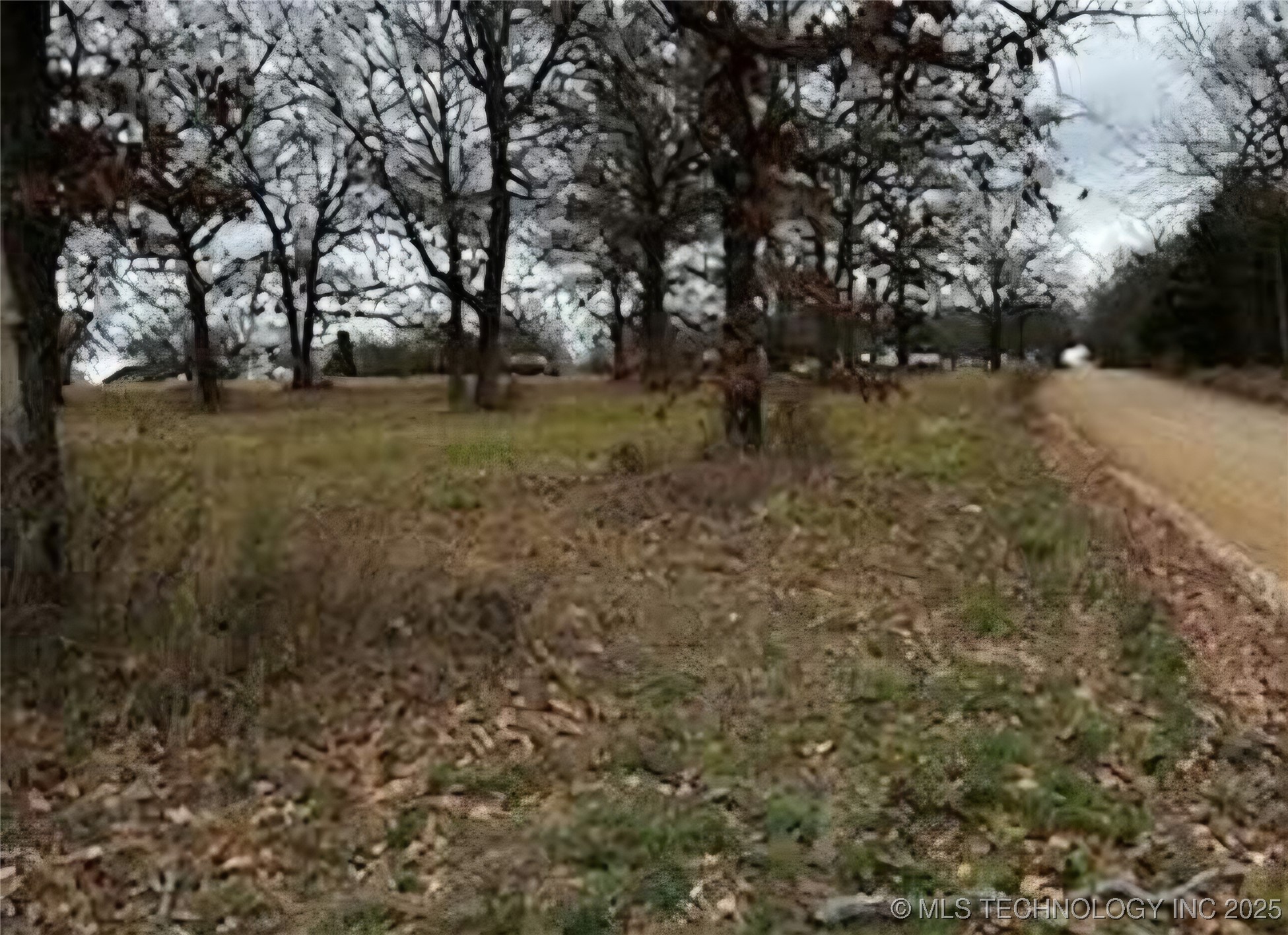 2548187 Property Photo 2