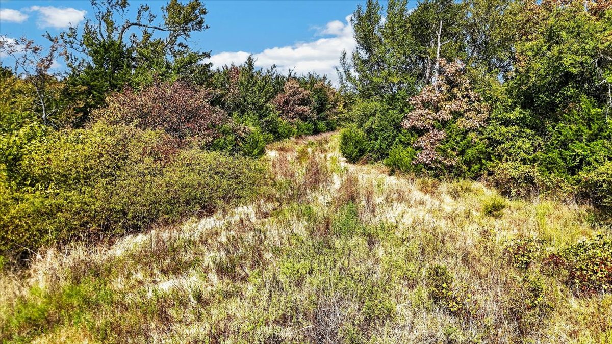 1 Double Springs Property Photo 10