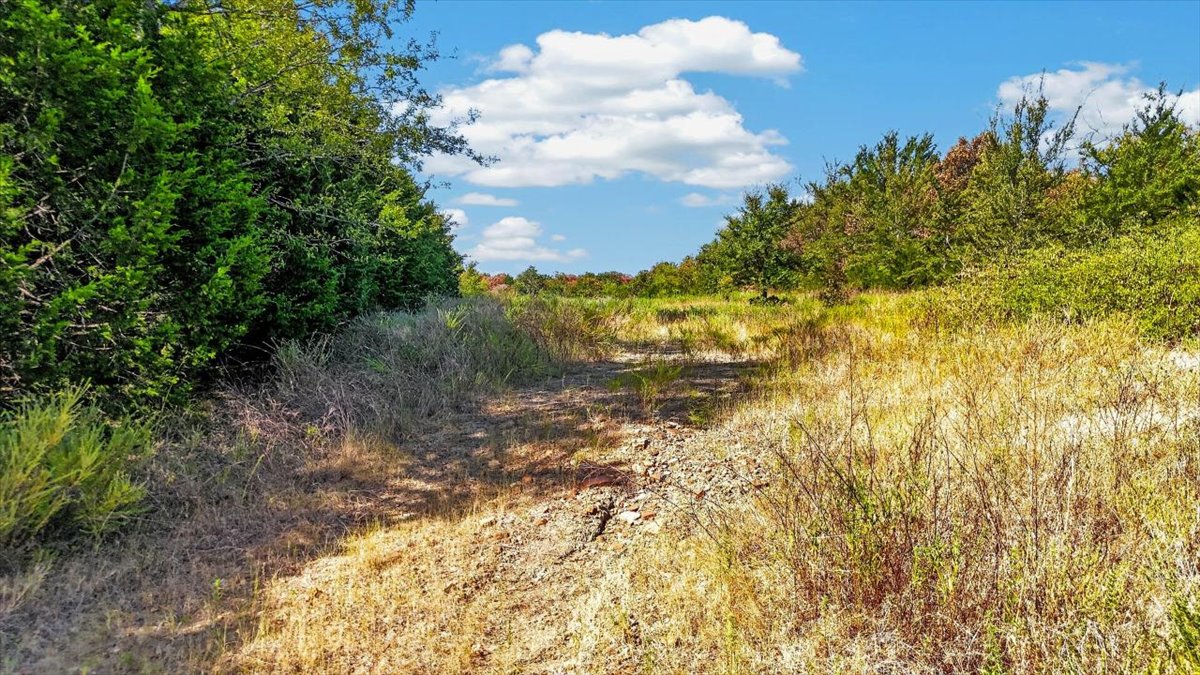 1 Double Springs Property Photo 12