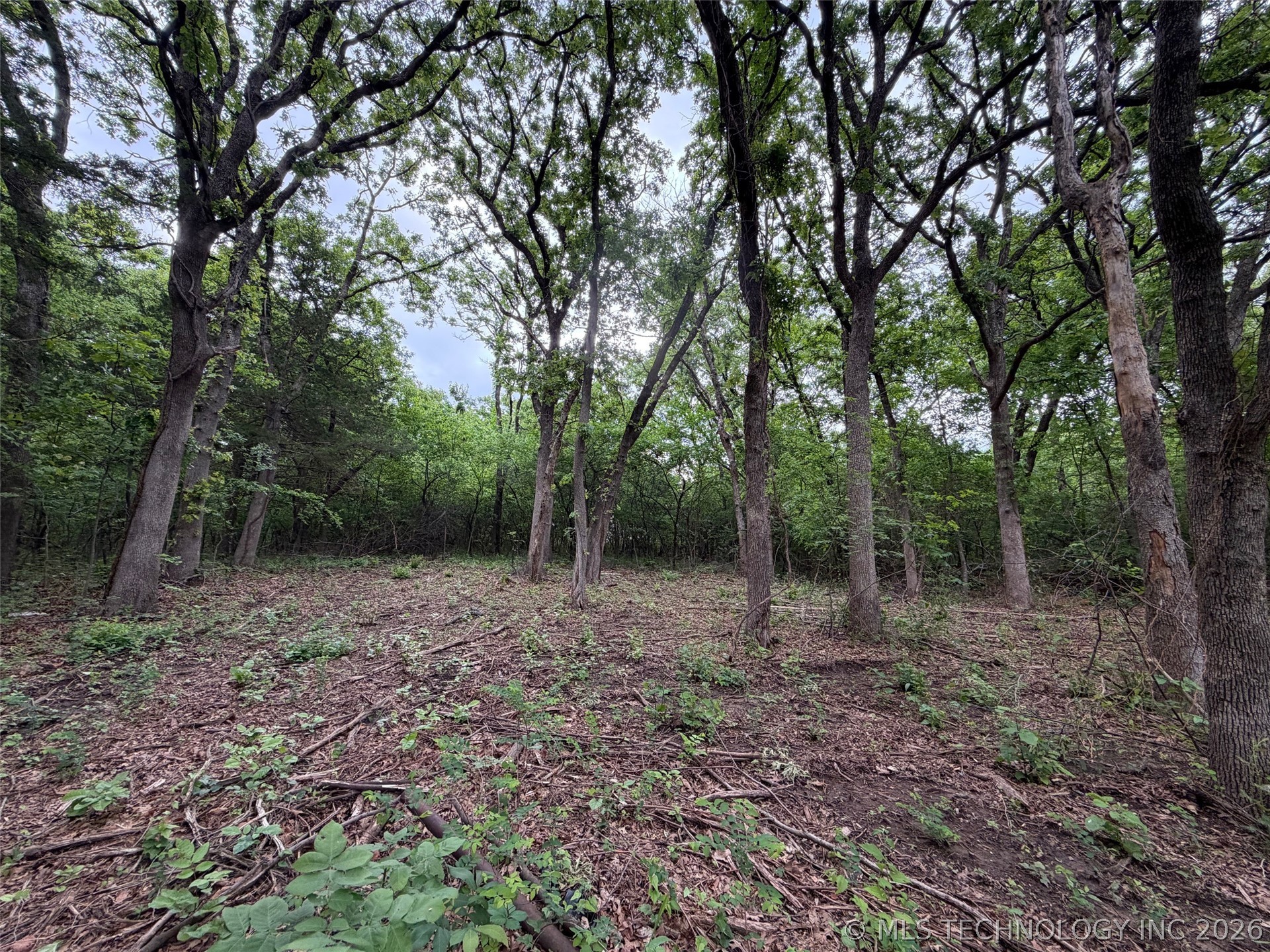 000000 E Highway 64 Highway Property Photo 16