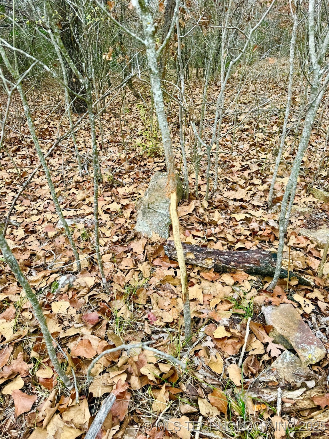 805 Road Property Photo 14