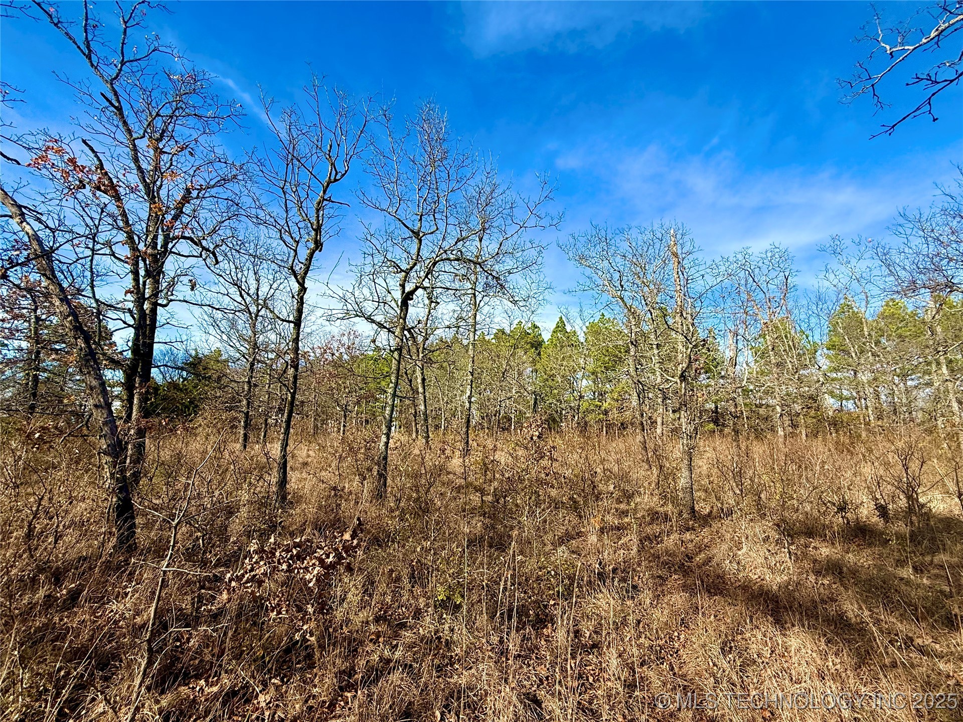 4540 Rd S Property Photo 5